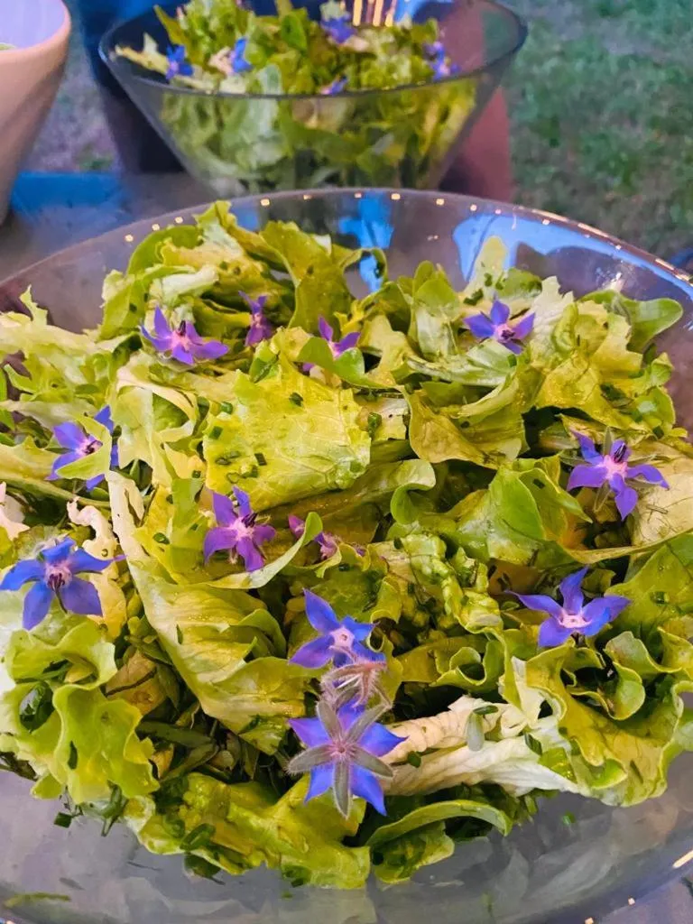 Restaurant/places to eat in Domaine de Séguéla