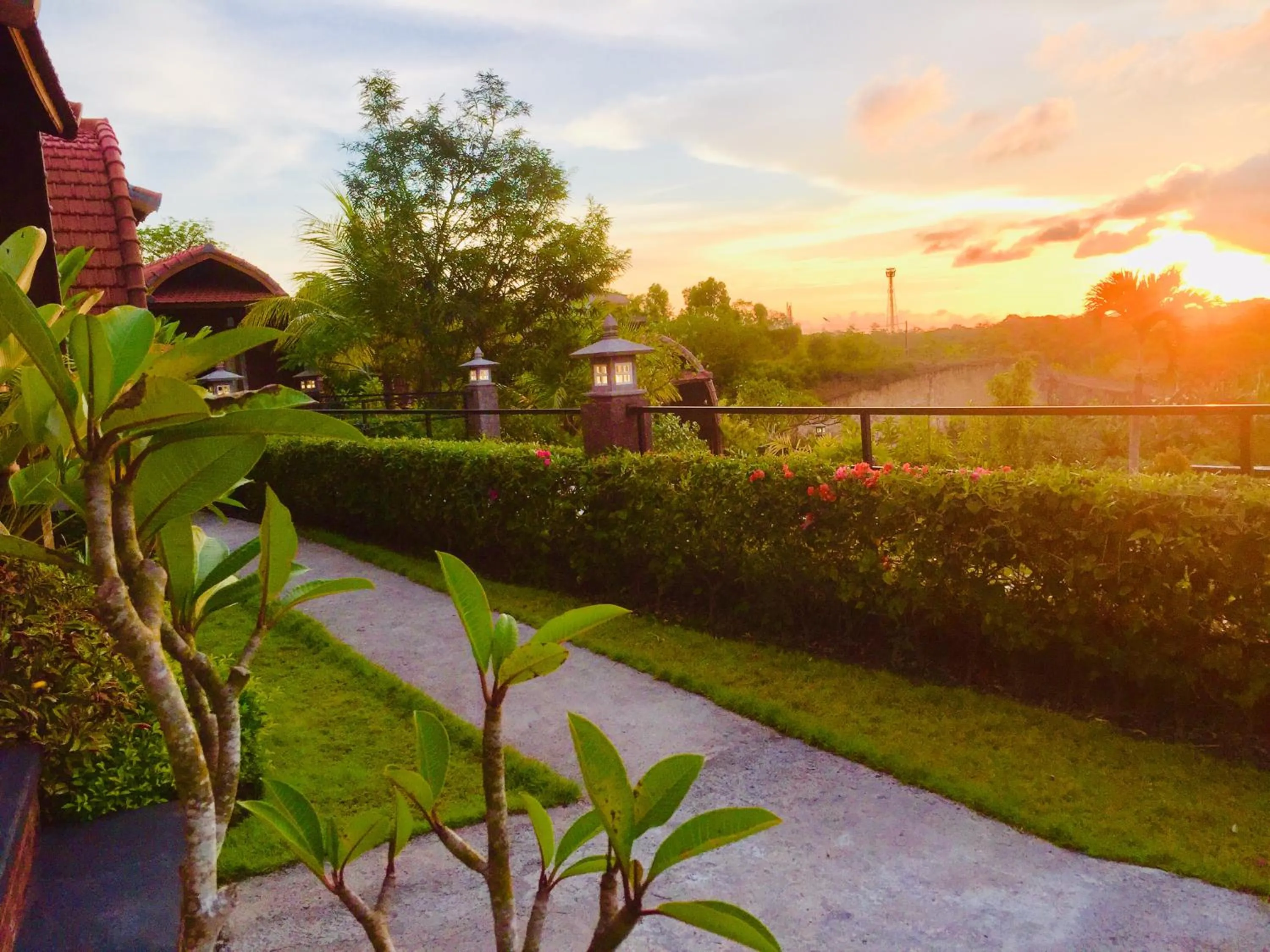 Garden in Druwa Bali