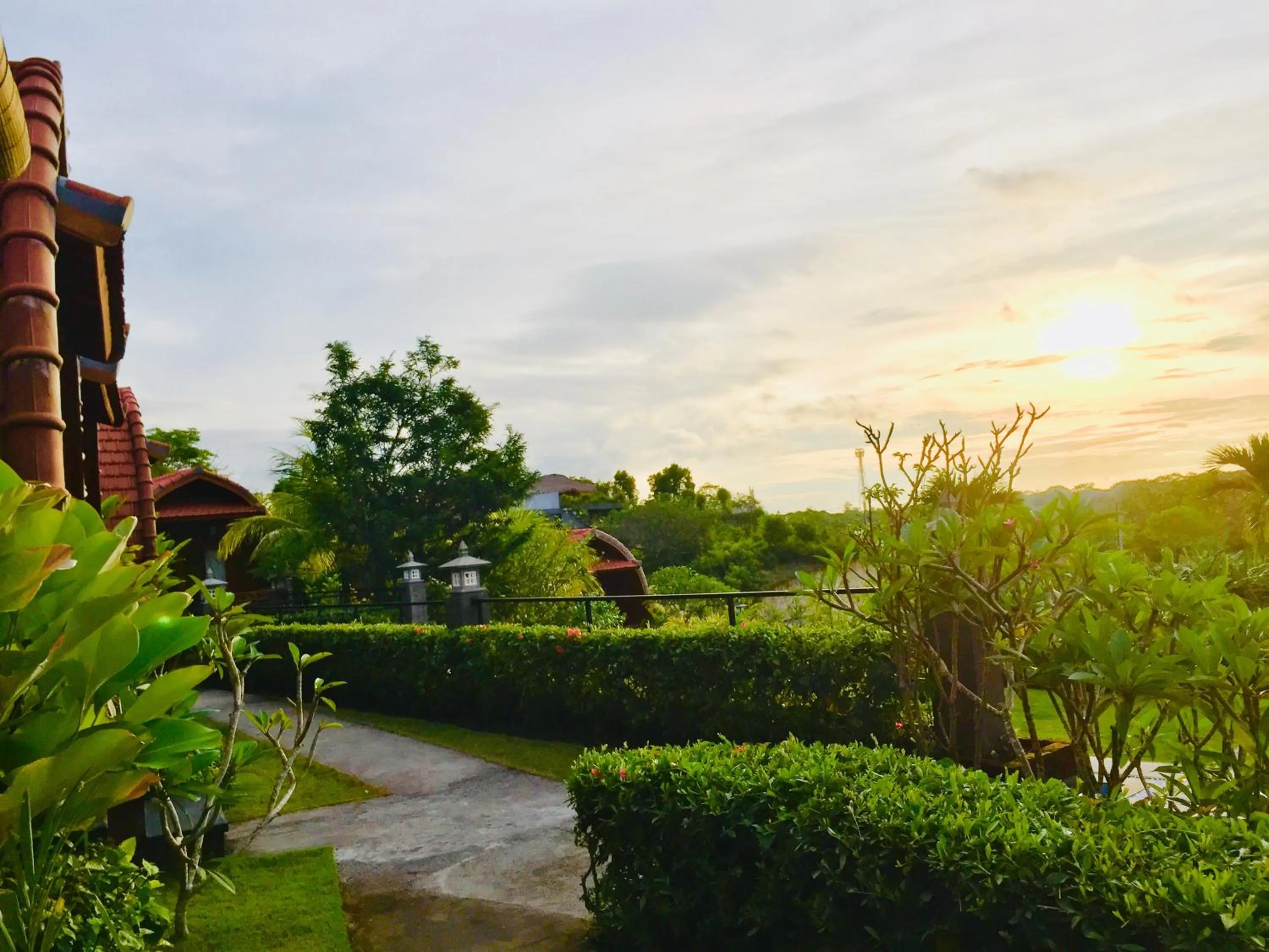 Garden in Druwa Bali