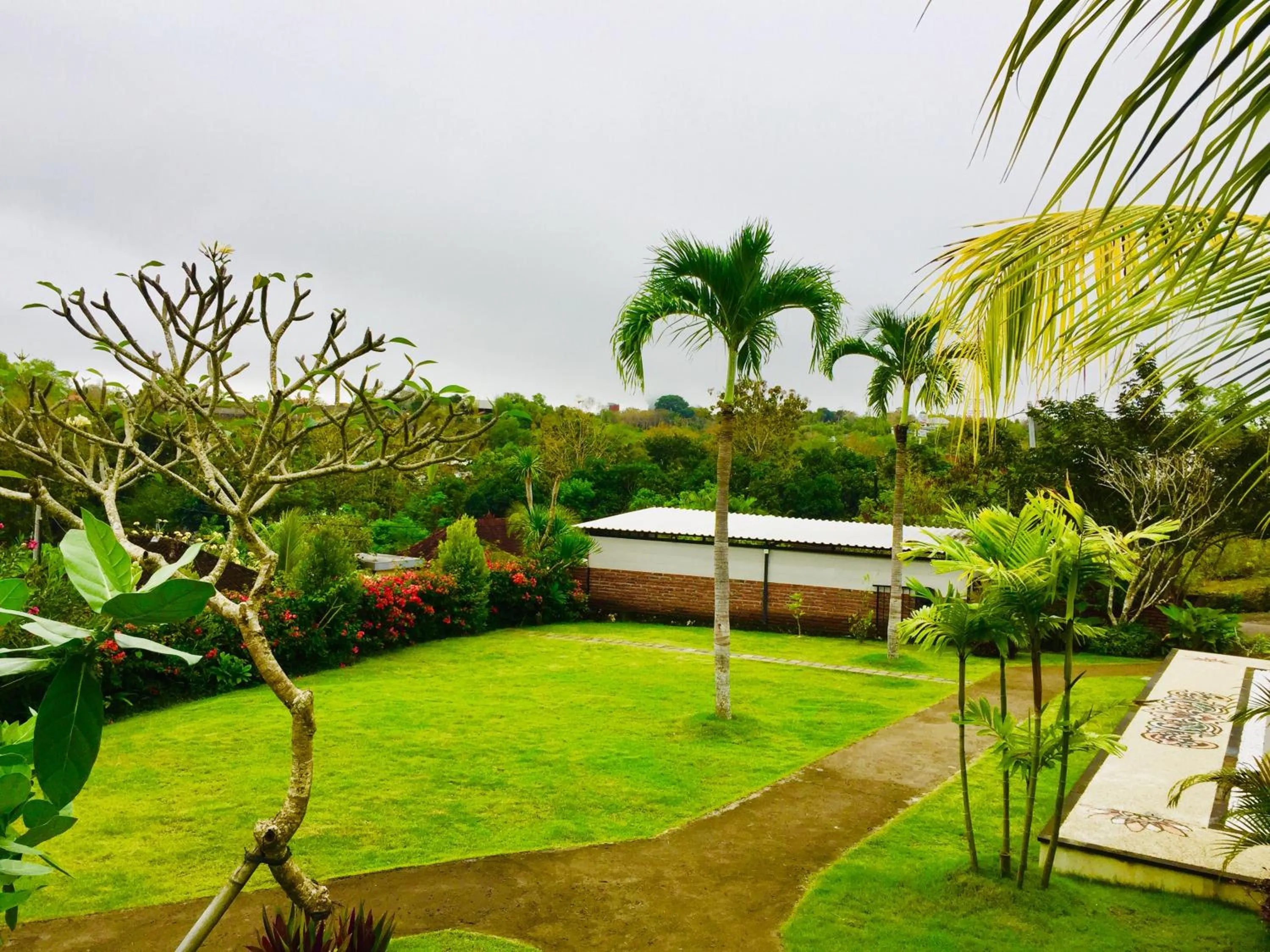 Garden in Druwa Bali