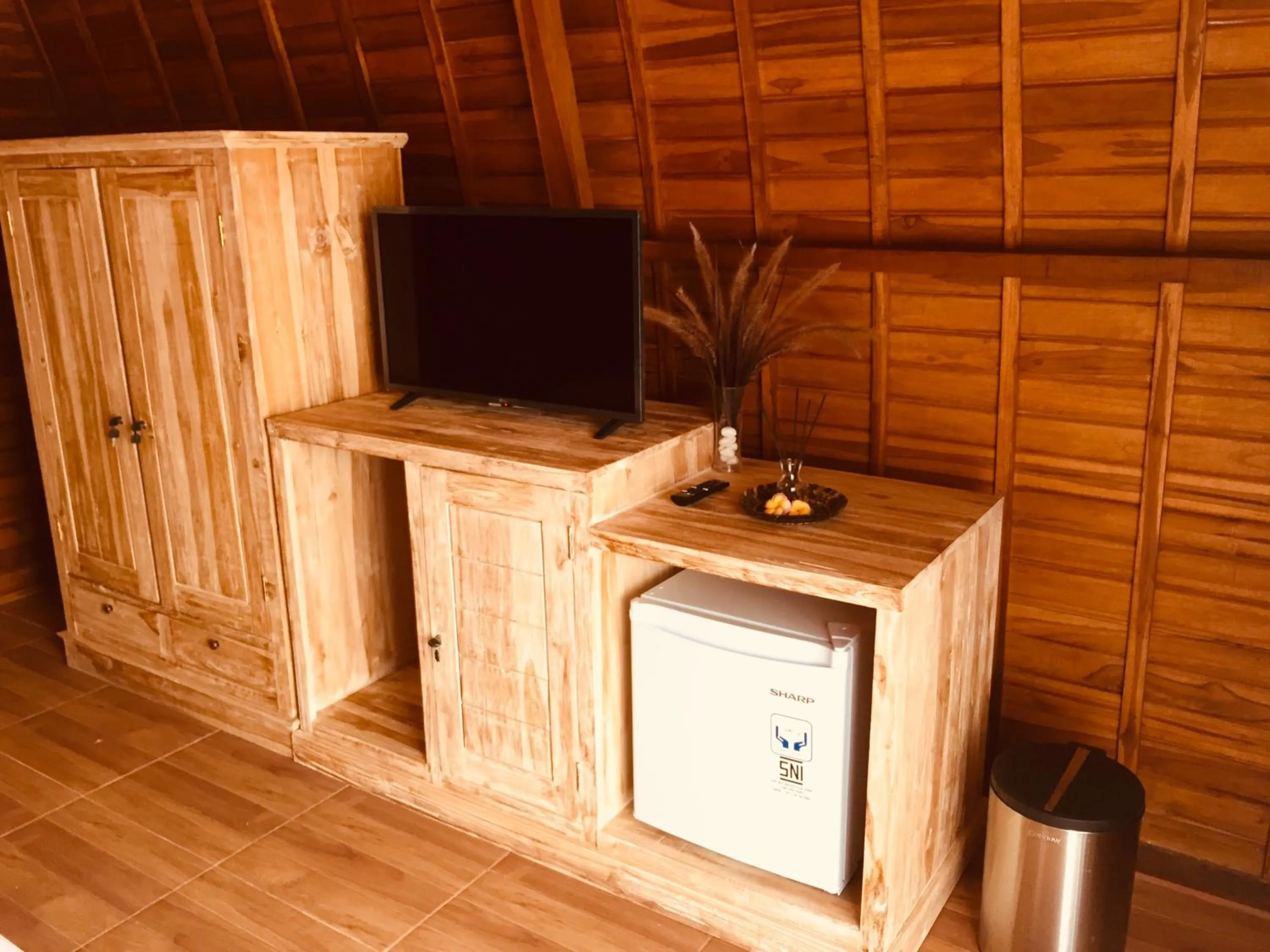 TV and multimedia in Druwa Bali