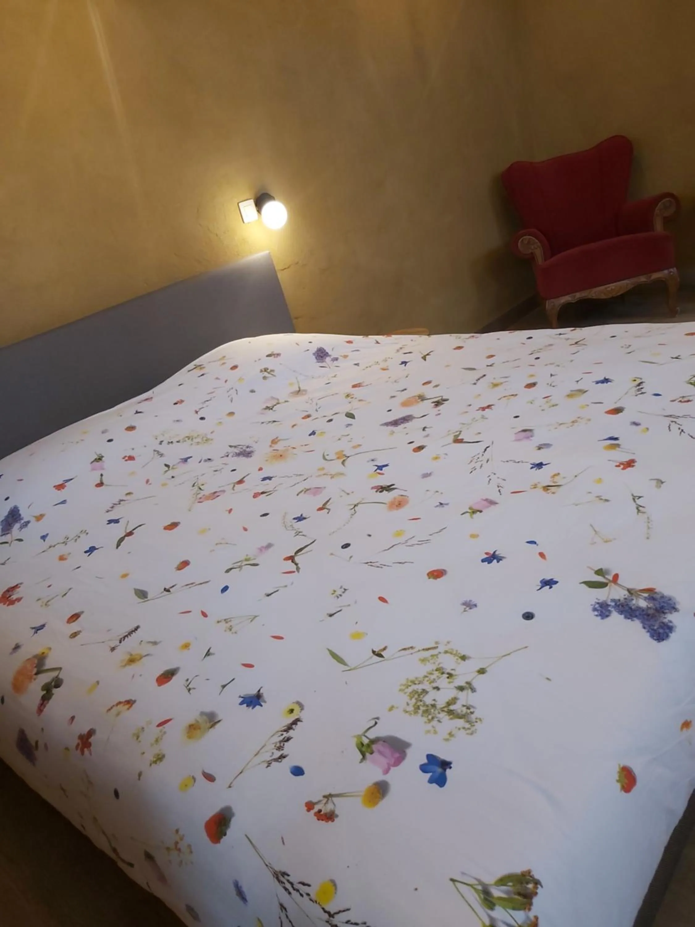 Bed in B&B Clogher Farm