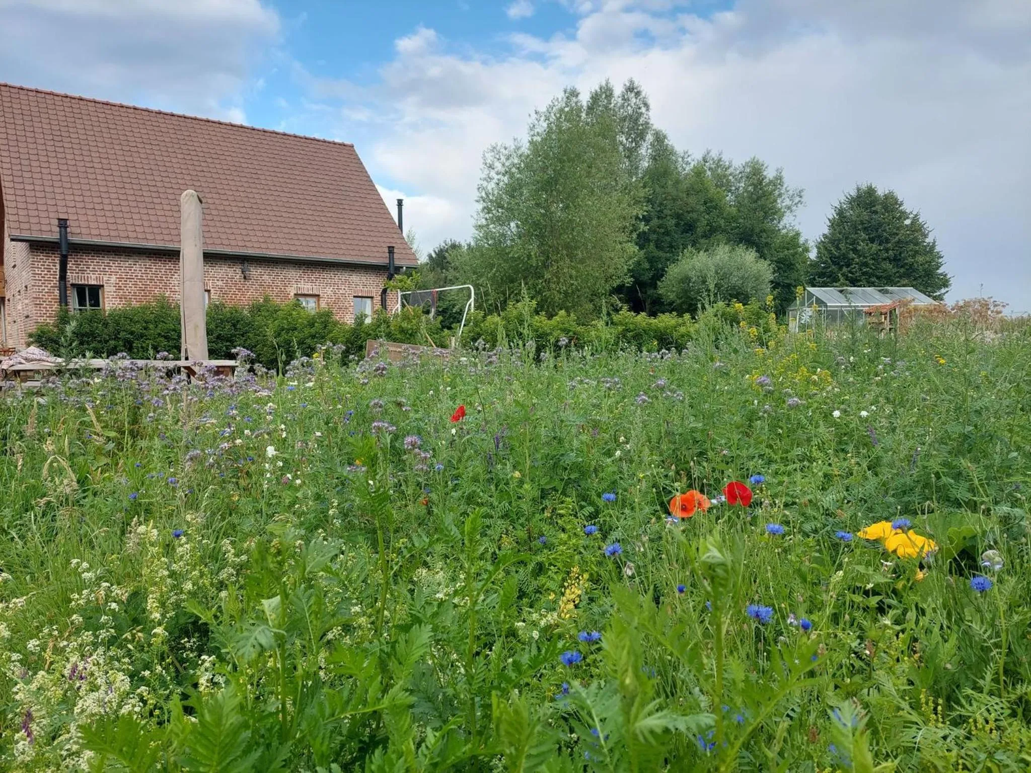 Natural landscape in B&B Clogher Farm