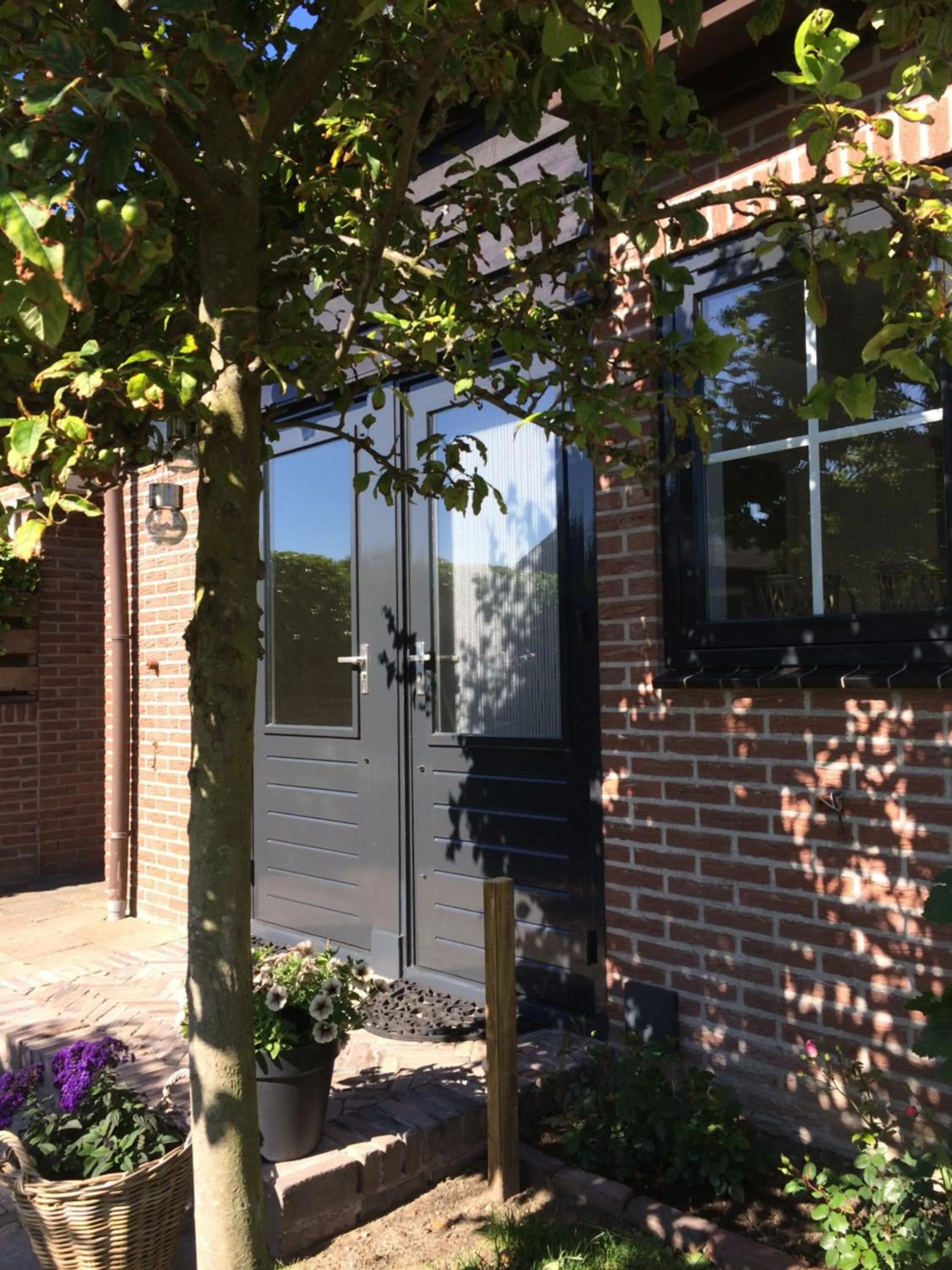 Property building in bed bij zee