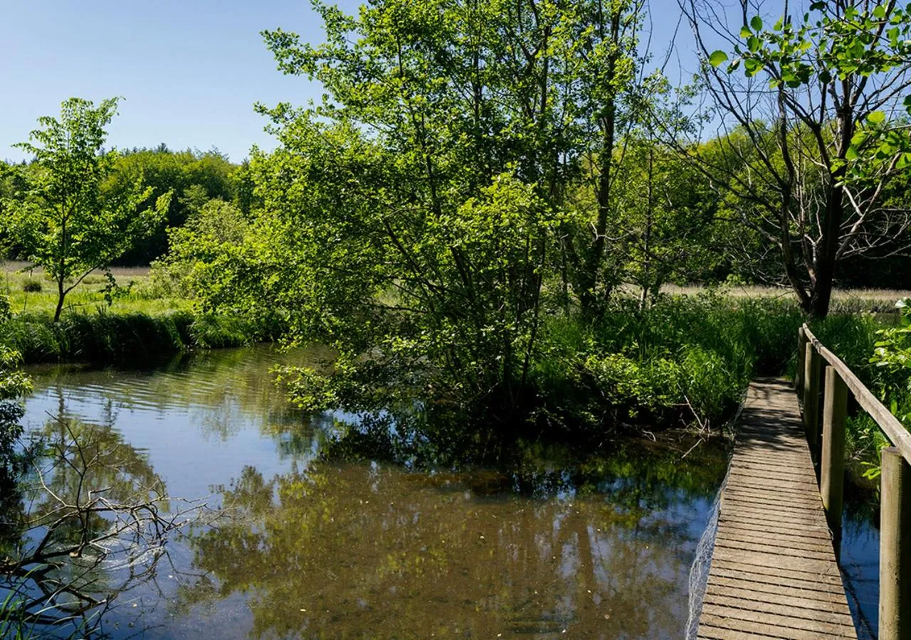 Svenskebakken Bed & Breakfast