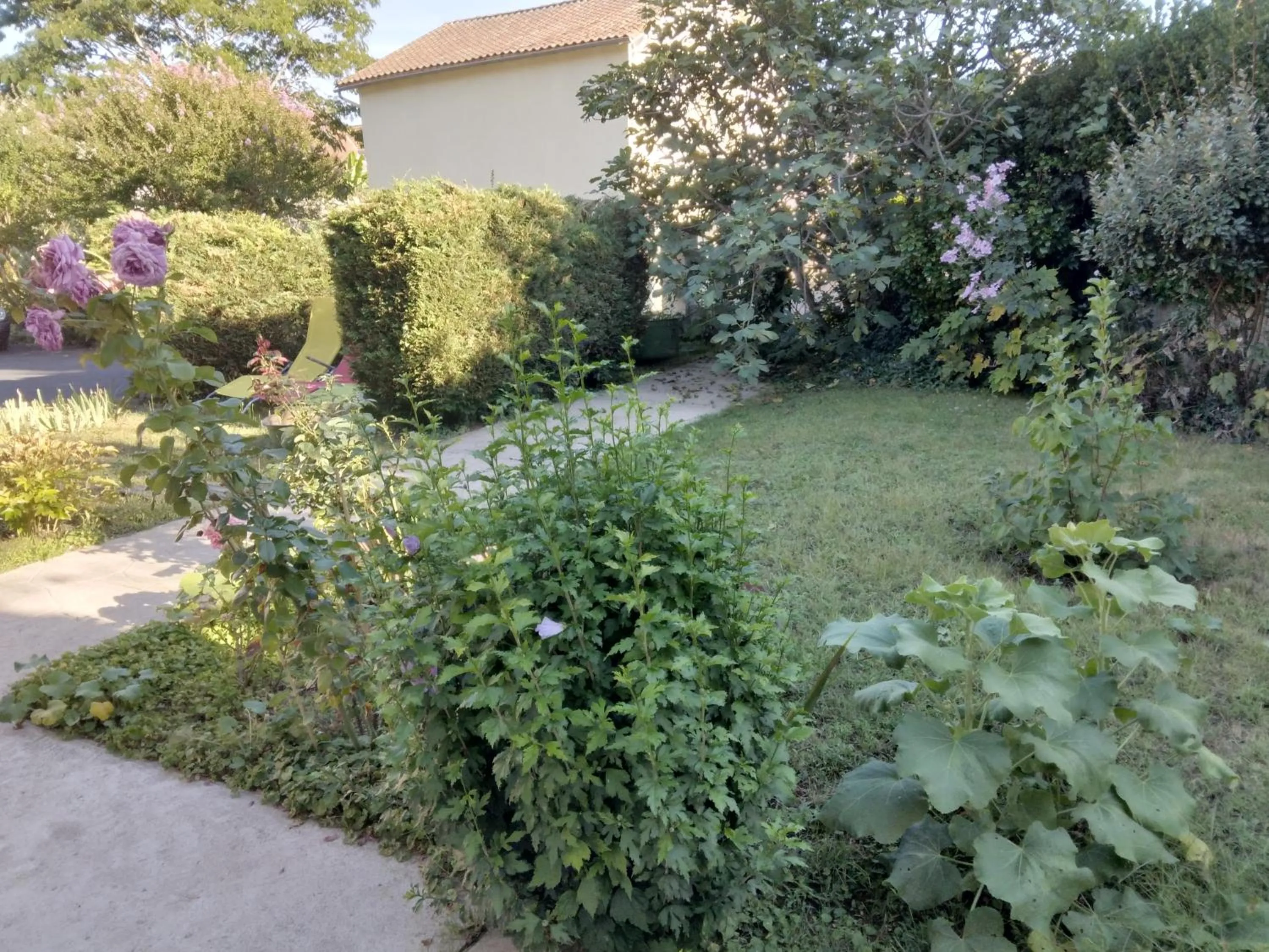 View (from property/room) in chambre d'hôte dans maison privée