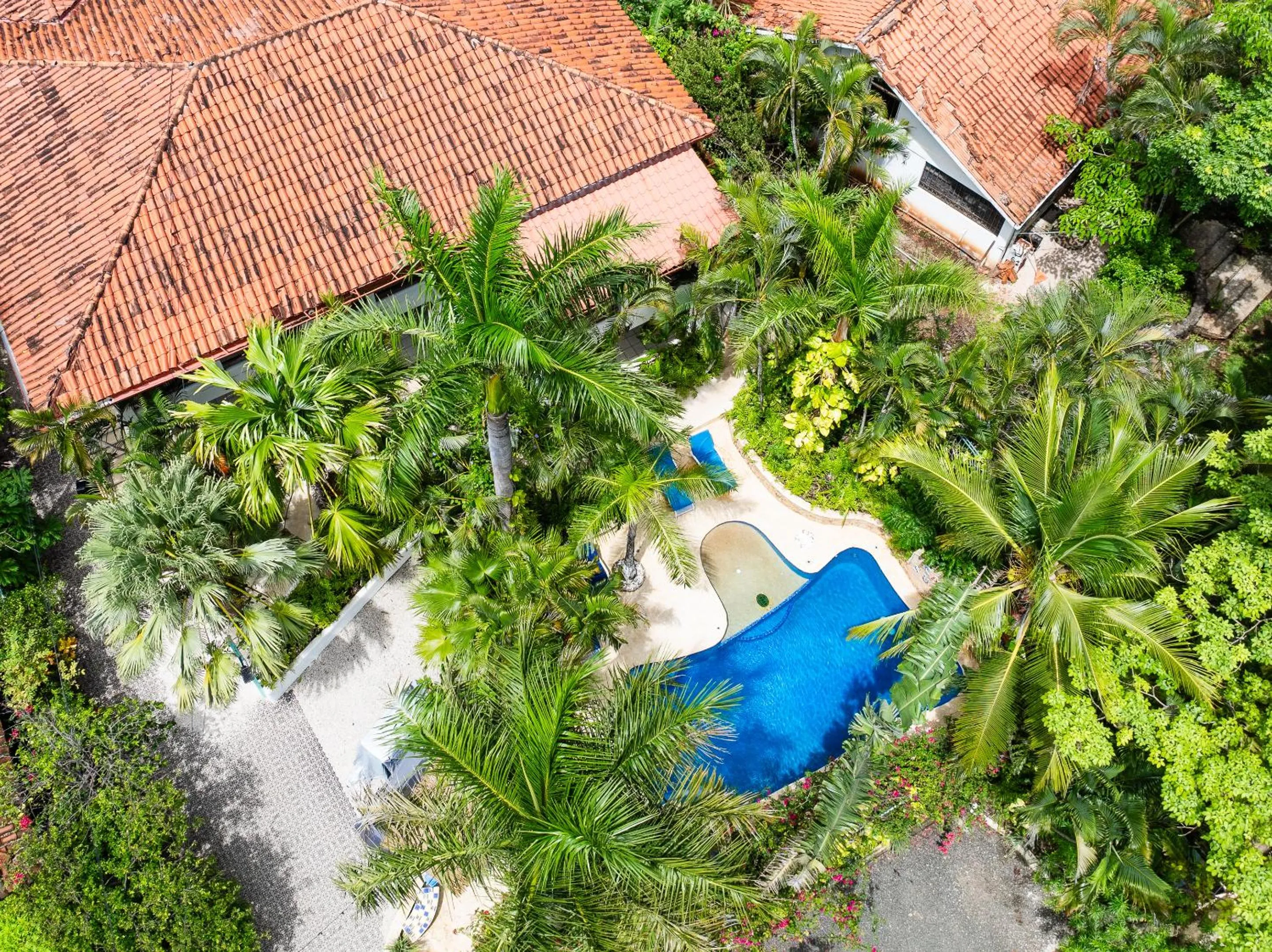 Pool view in Casa Sueca Hotel - At the Beach