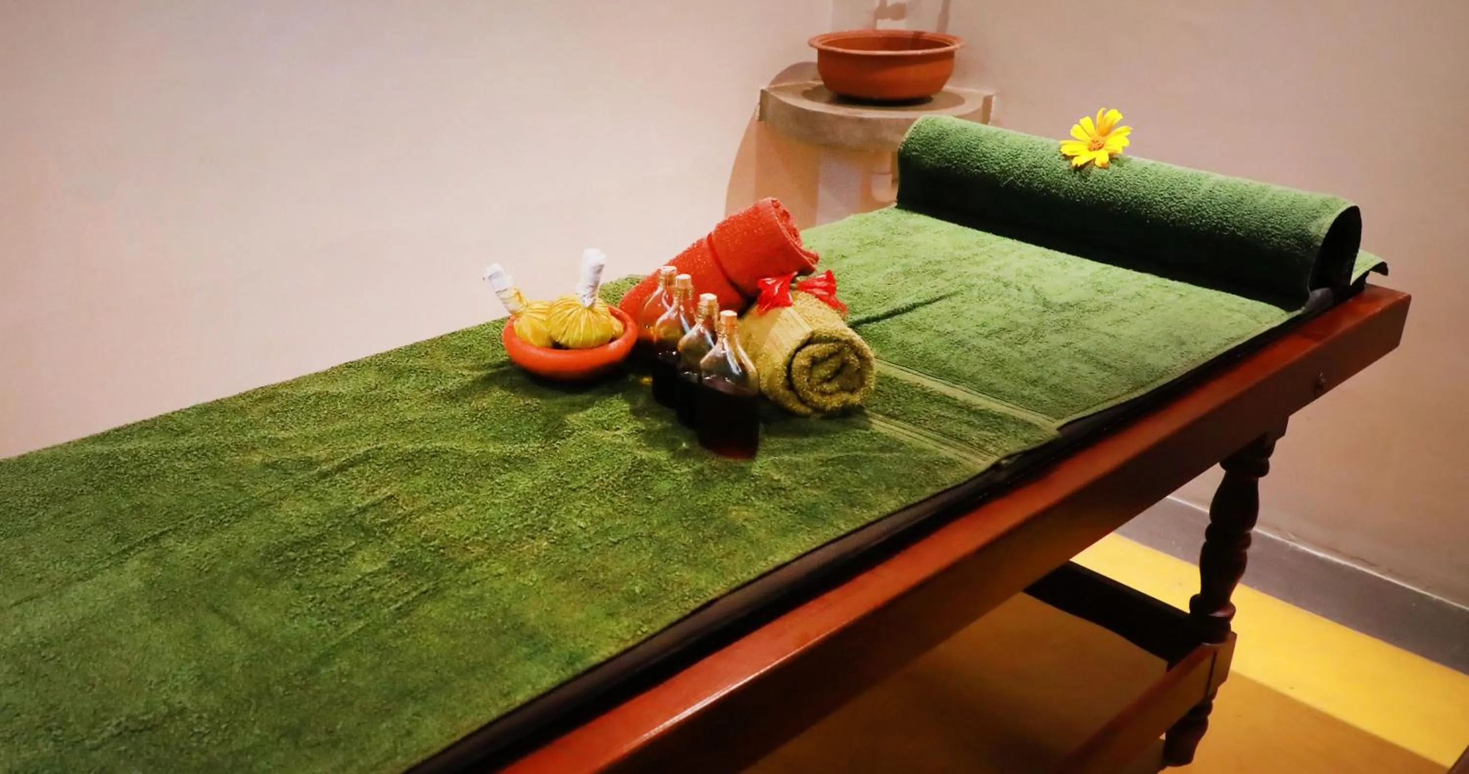 Spa and wellness centre/facilities in Terrace Garden Ayurveda Resort