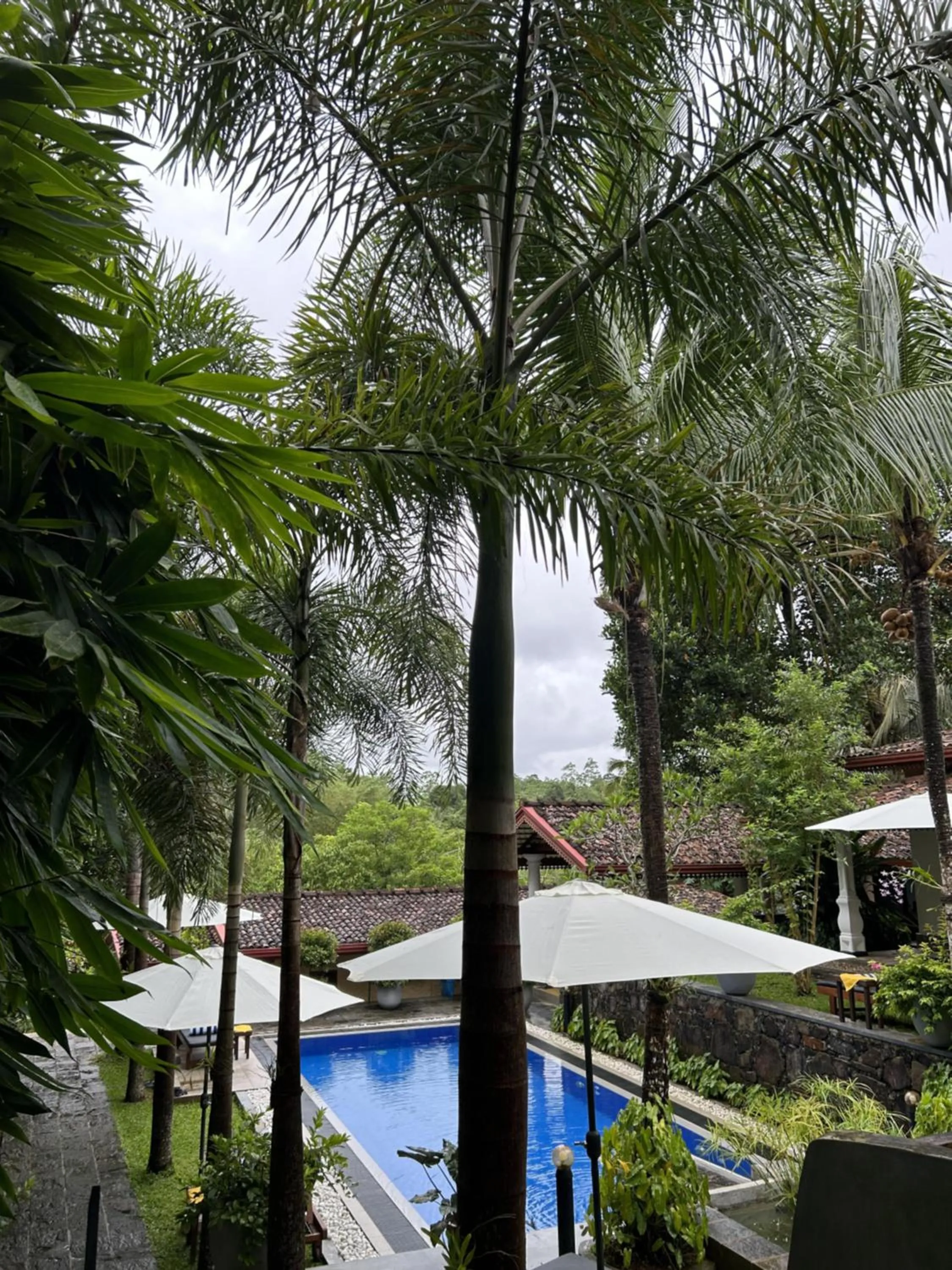 Property building in Terrace Garden Ayurveda Resort