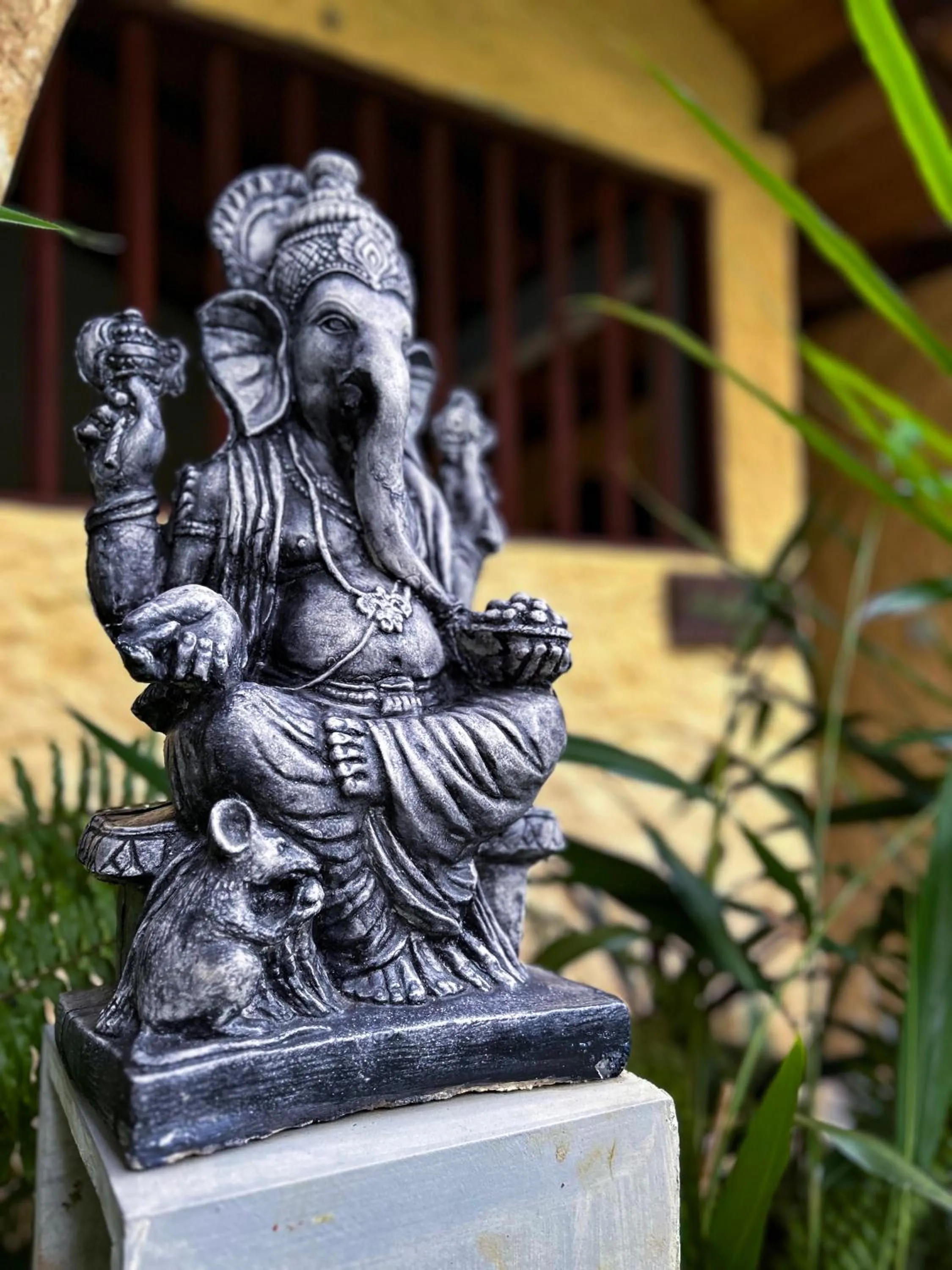 Property building in Terrace Garden Ayurveda Resort