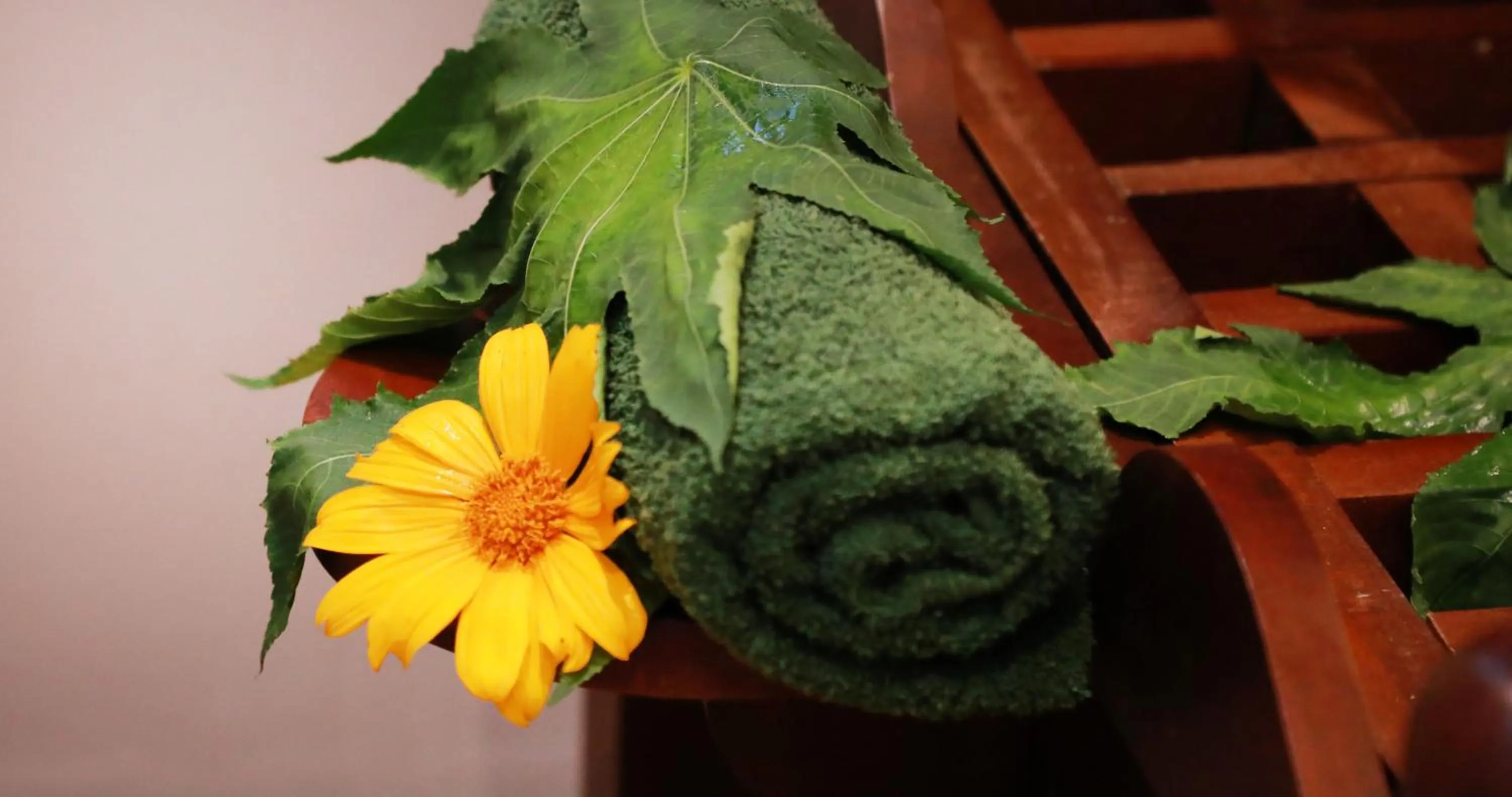 Spa and wellness centre/facilities in Terrace Garden Ayurveda Resort