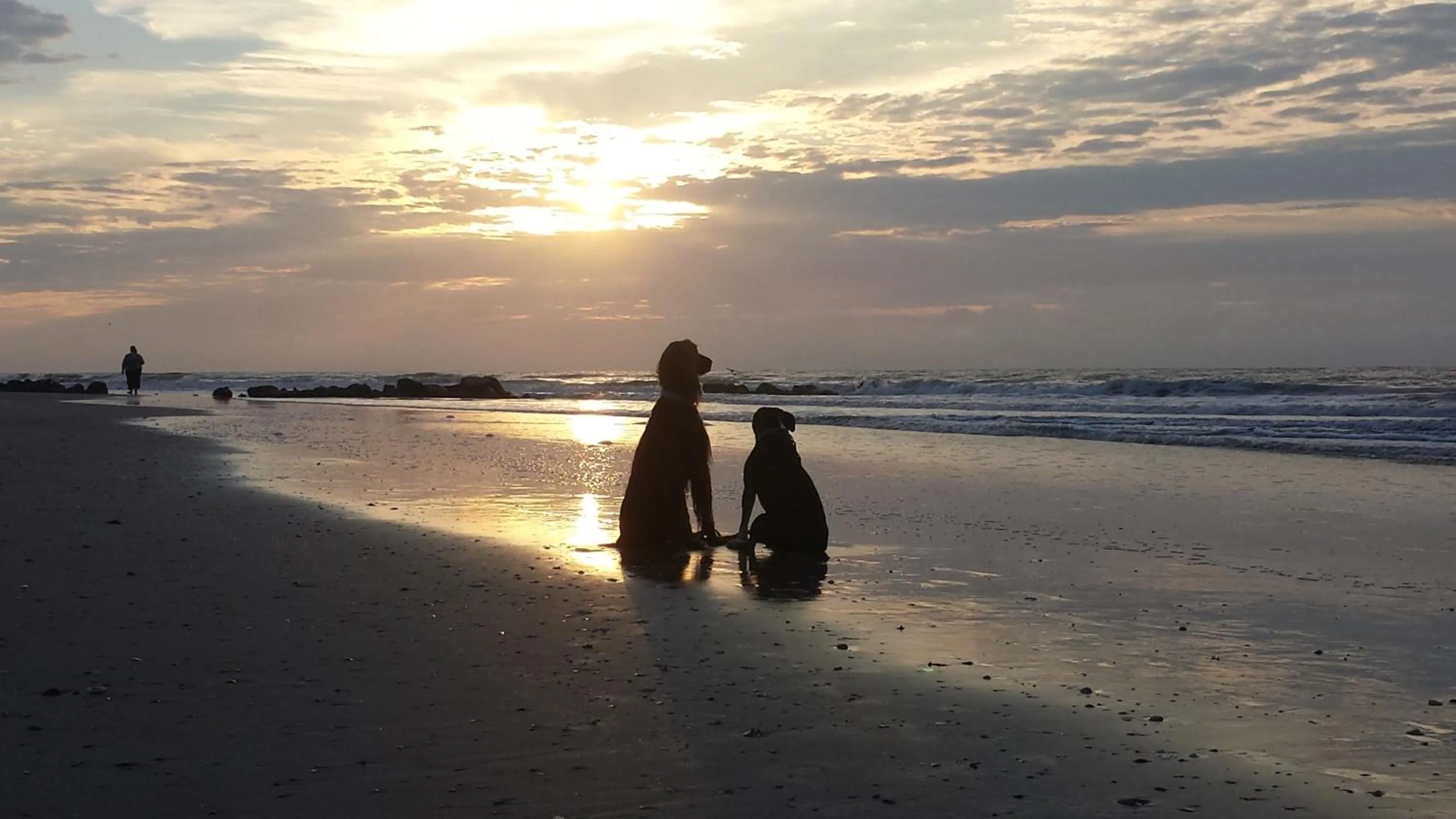 Folly Vacation Perfect Purple Palace Apt A