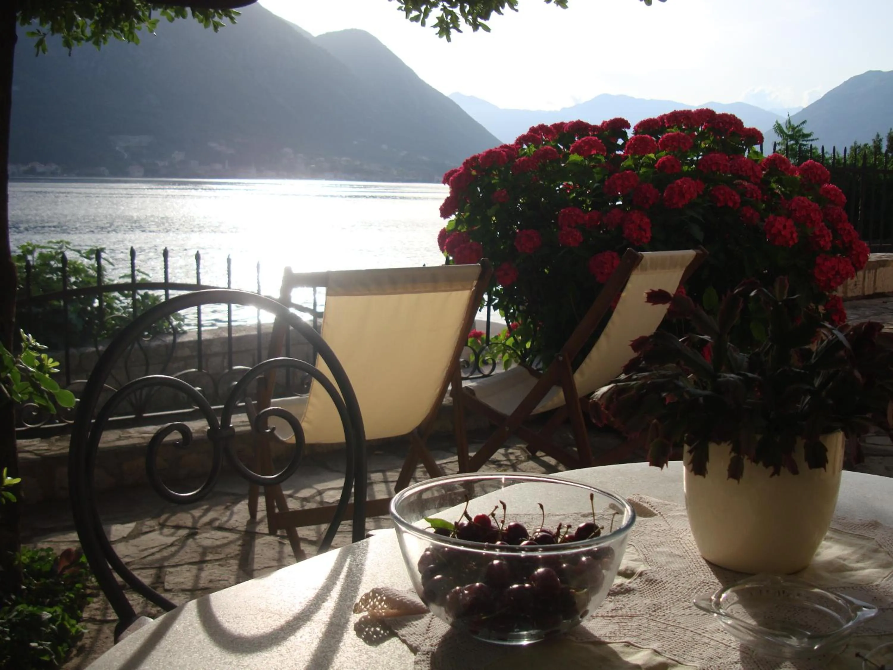 Garden in Villa Perla Del Mare