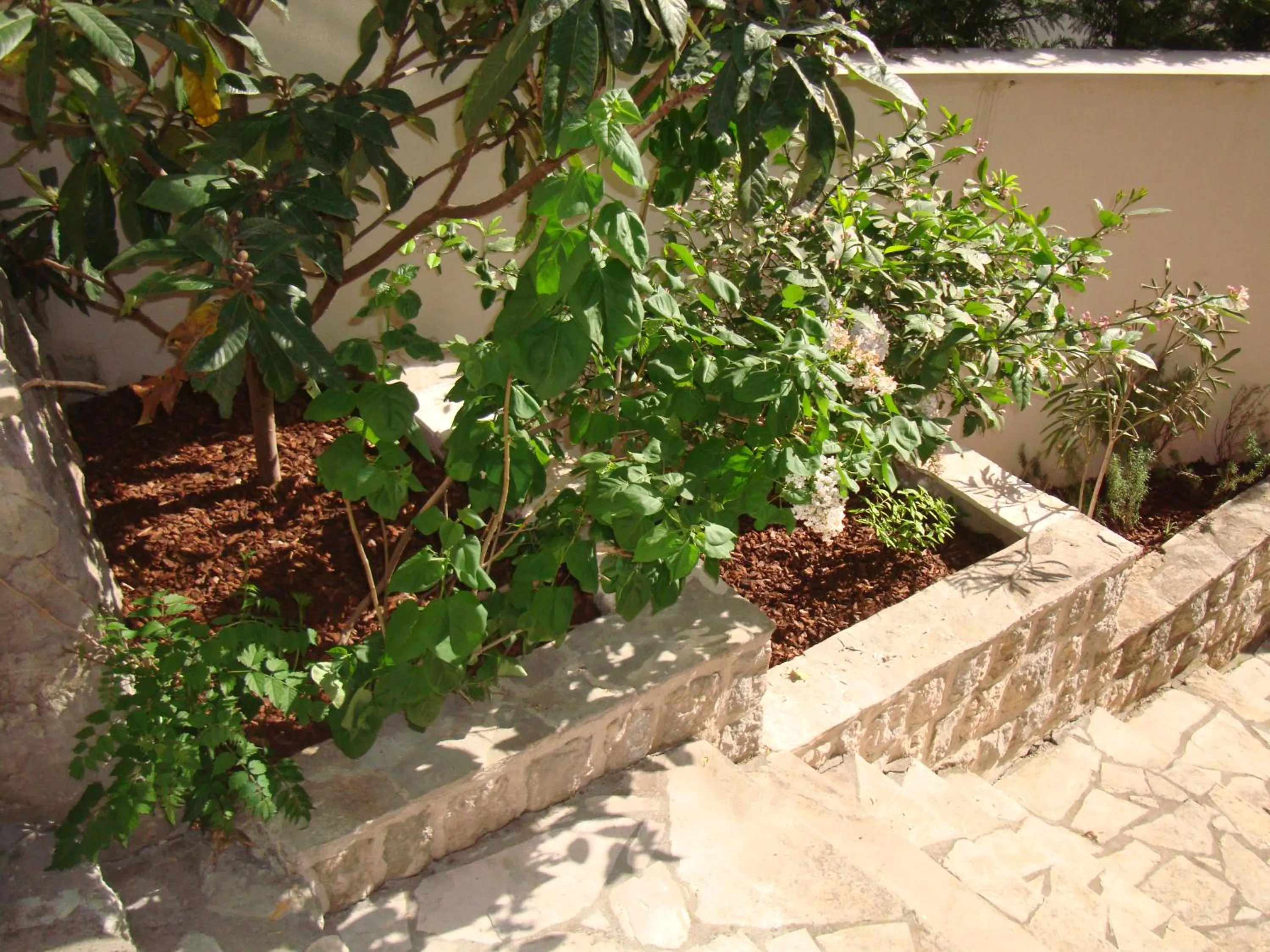 Garden in Villa Perla Del Mare