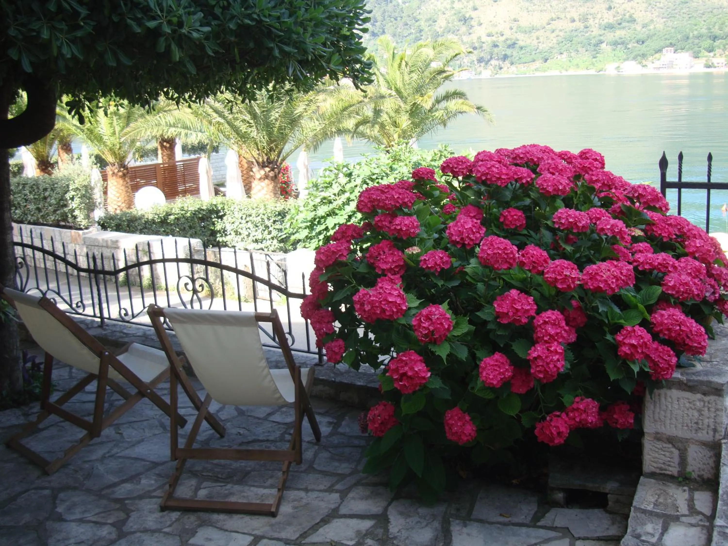 Garden in Villa Perla Del Mare