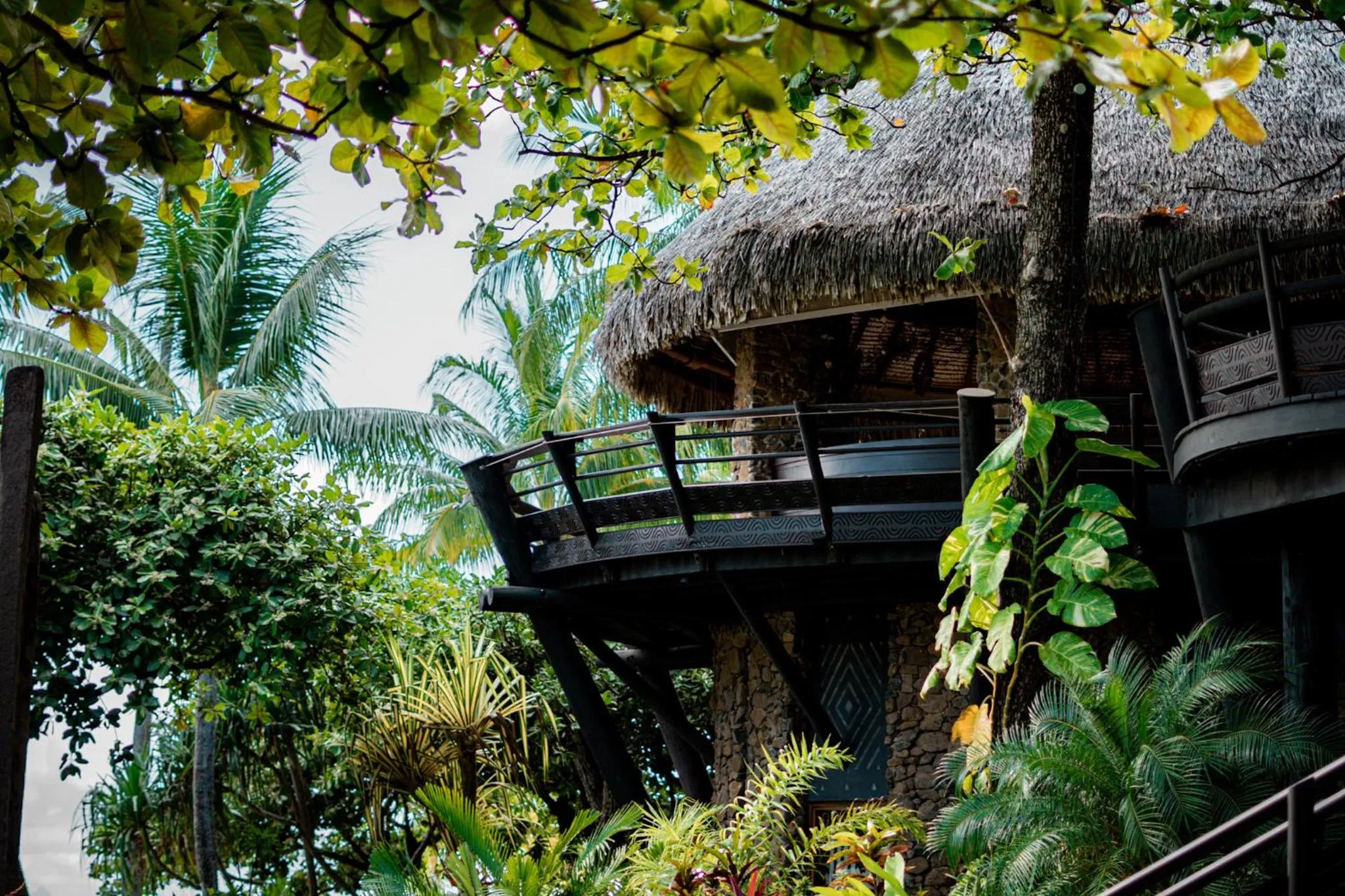 Restaurant/places to eat in Le Taha'a by Pearl Resorts