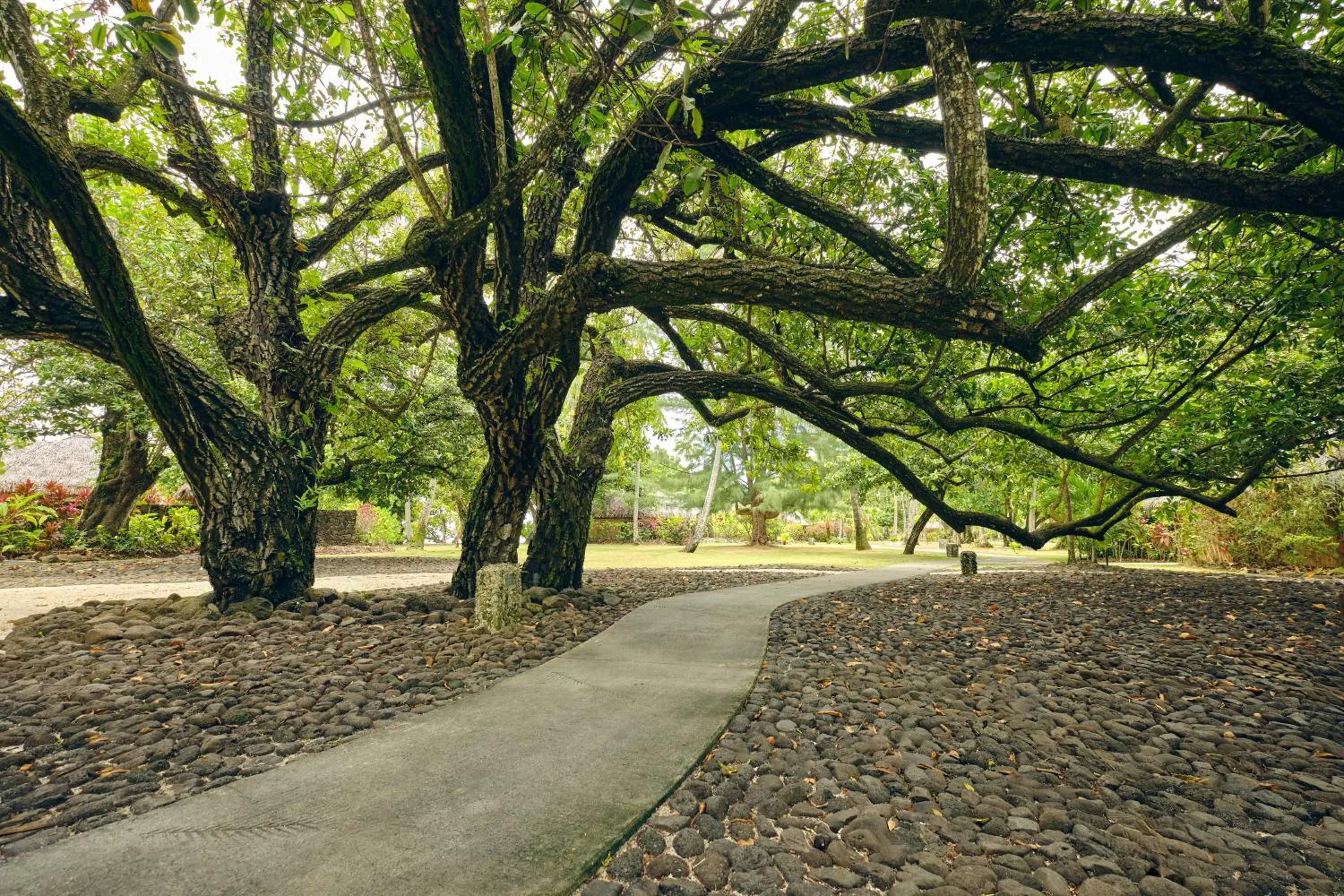 Garden in Le Taha'a by Pearl Resorts