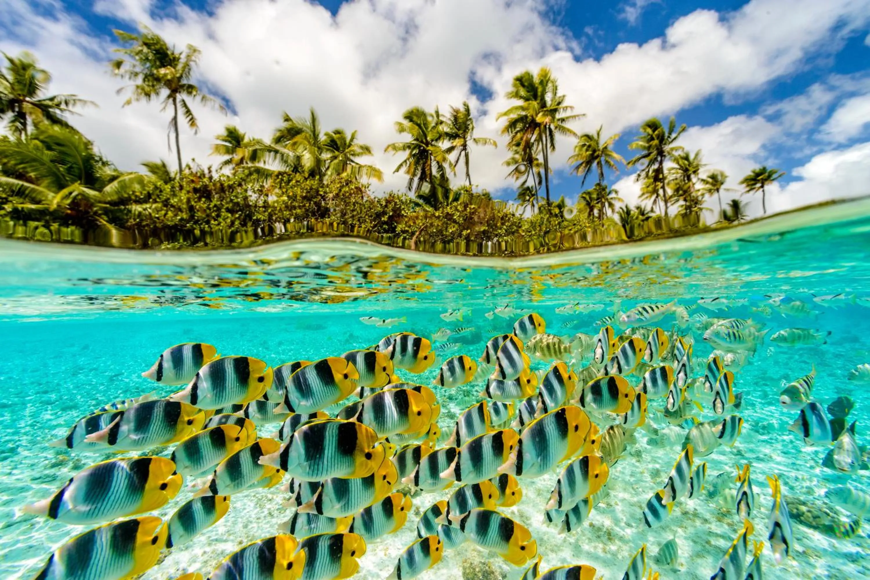 Activities in Le Taha'a by Pearl Resorts