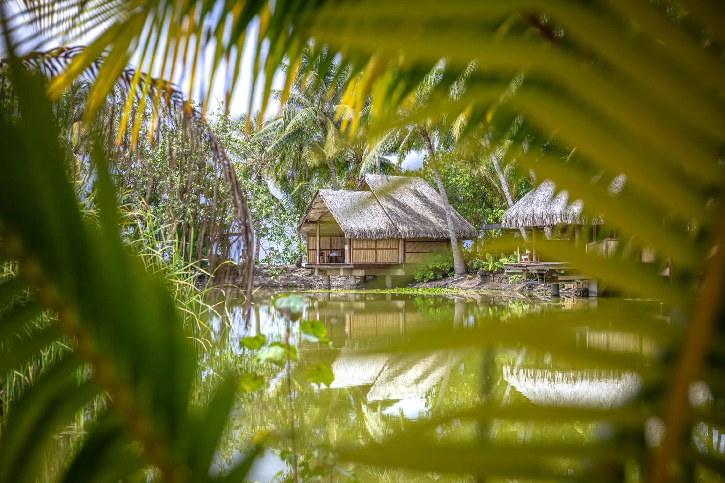 Spa and wellness centre/facilities in Le Taha'a by Pearl Resorts