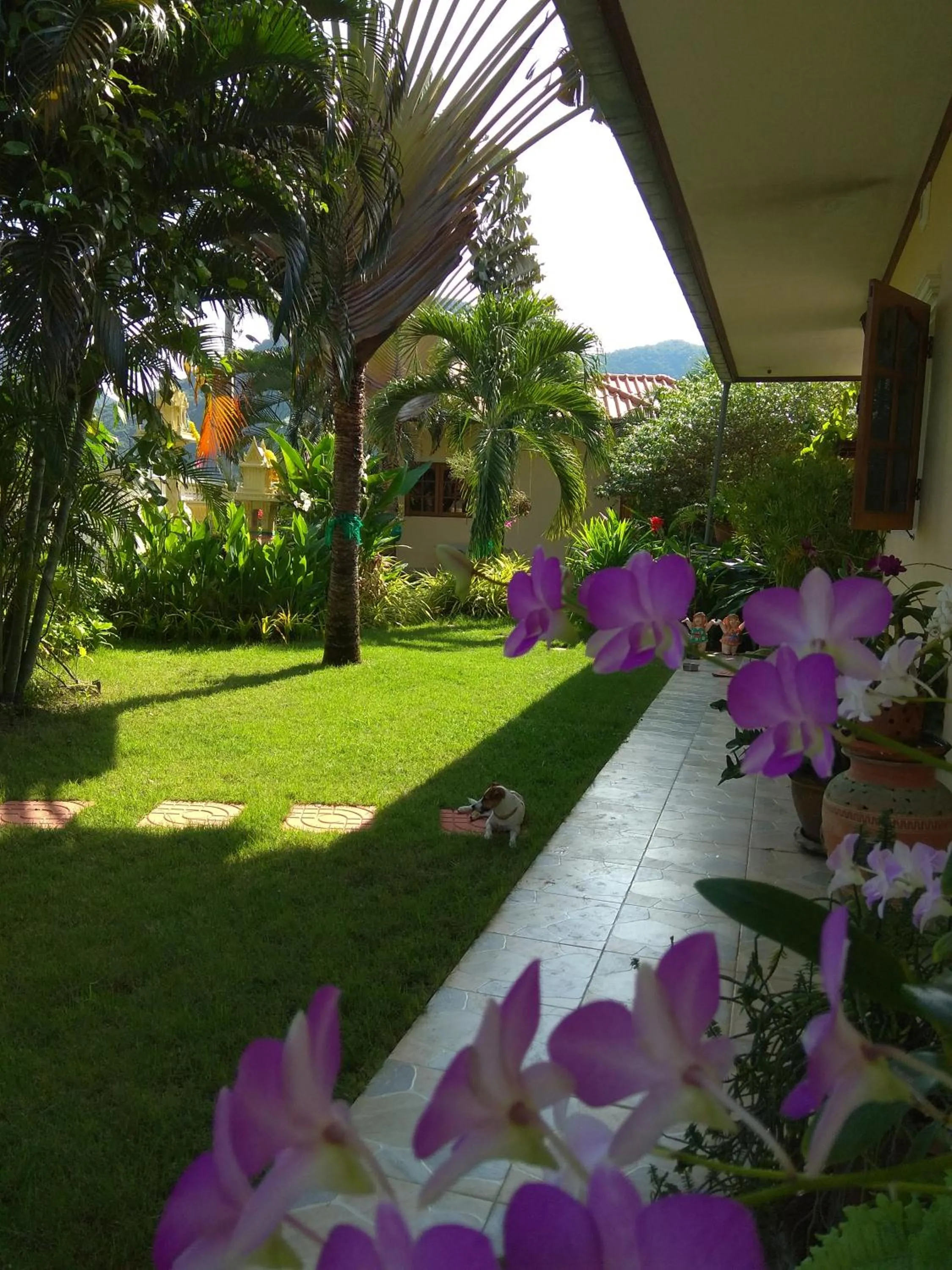 Garden in Stella Resort