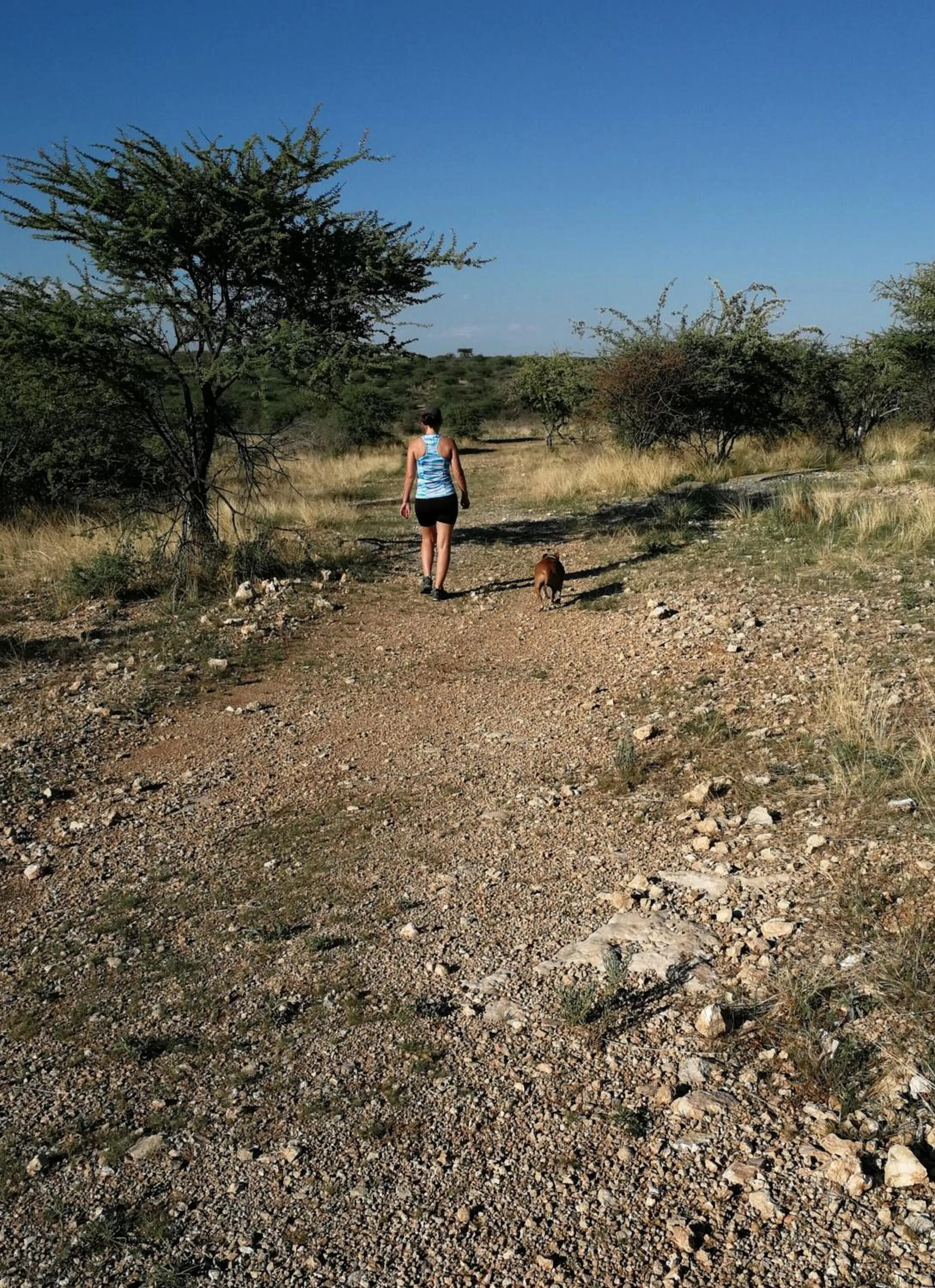 Etotongwe Lodge