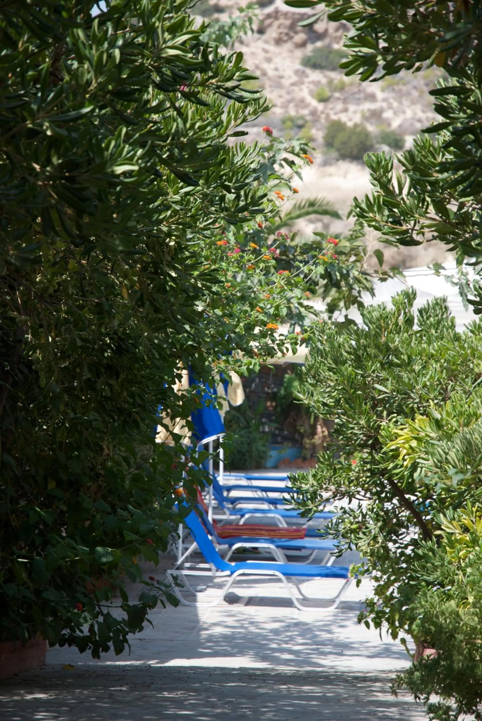 Balcony/Terrace in Sarikampos Beach
