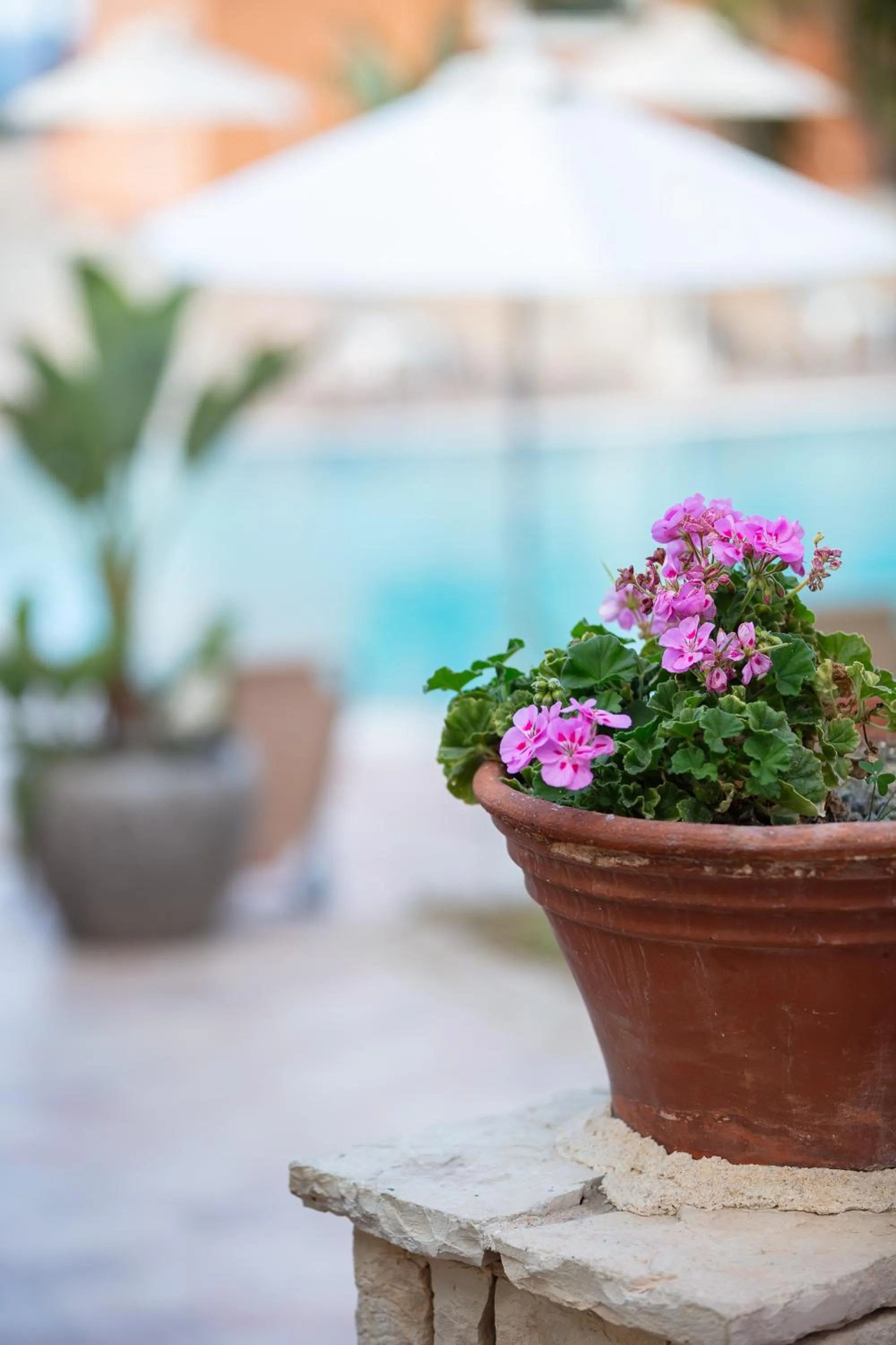 Pool view in Dia Apartments