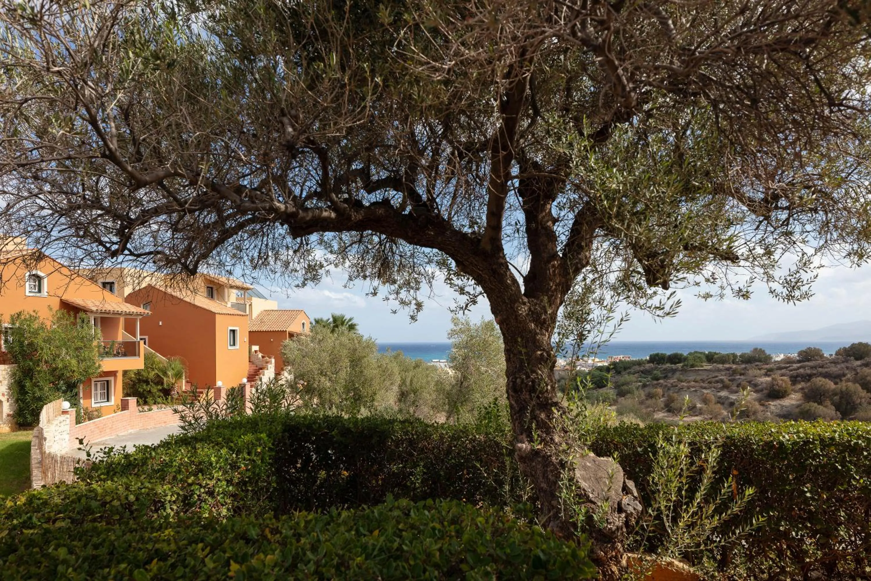 Property building in Dia Apartments