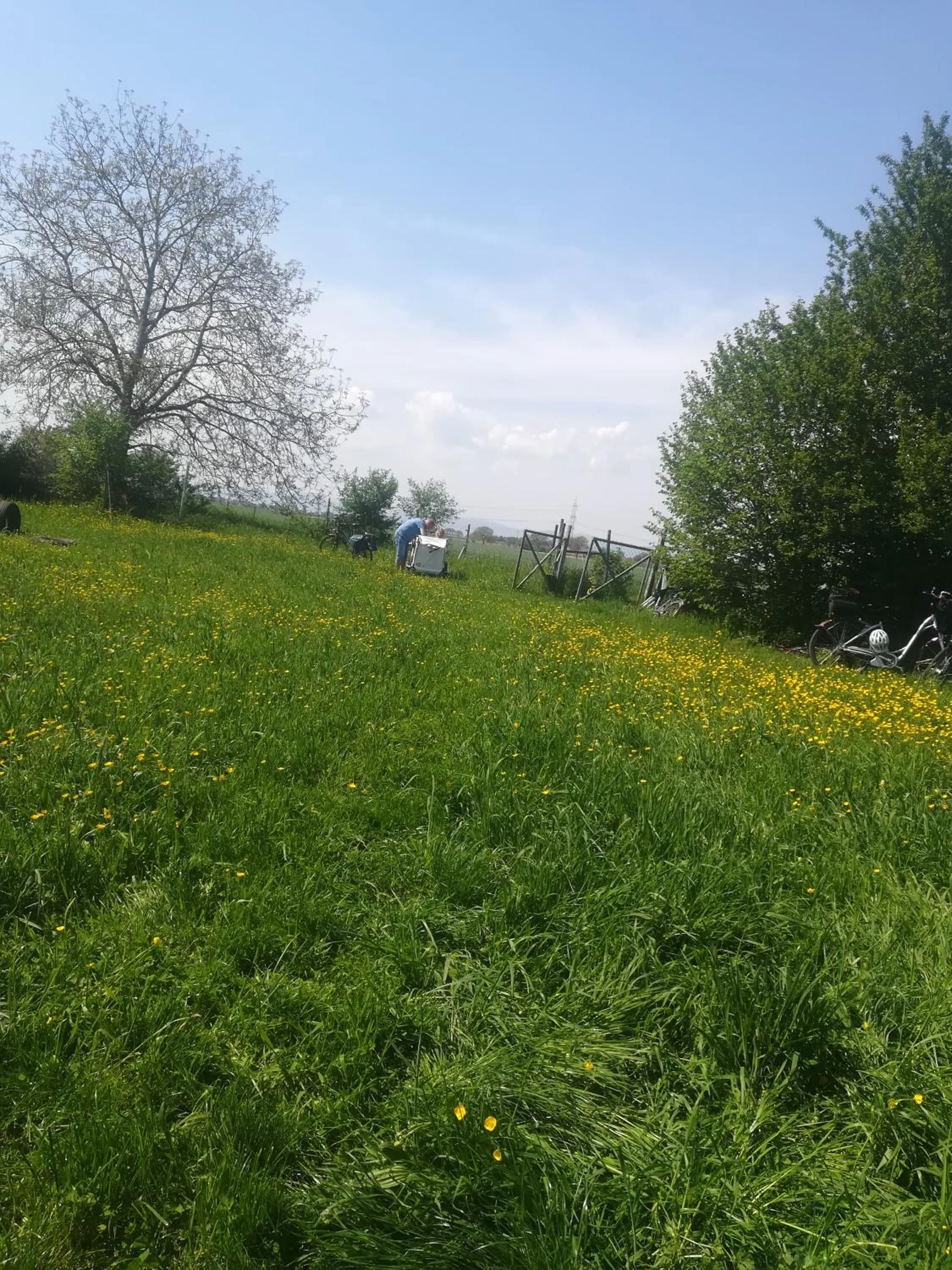 Natural landscape in Brauhaus Fröschl