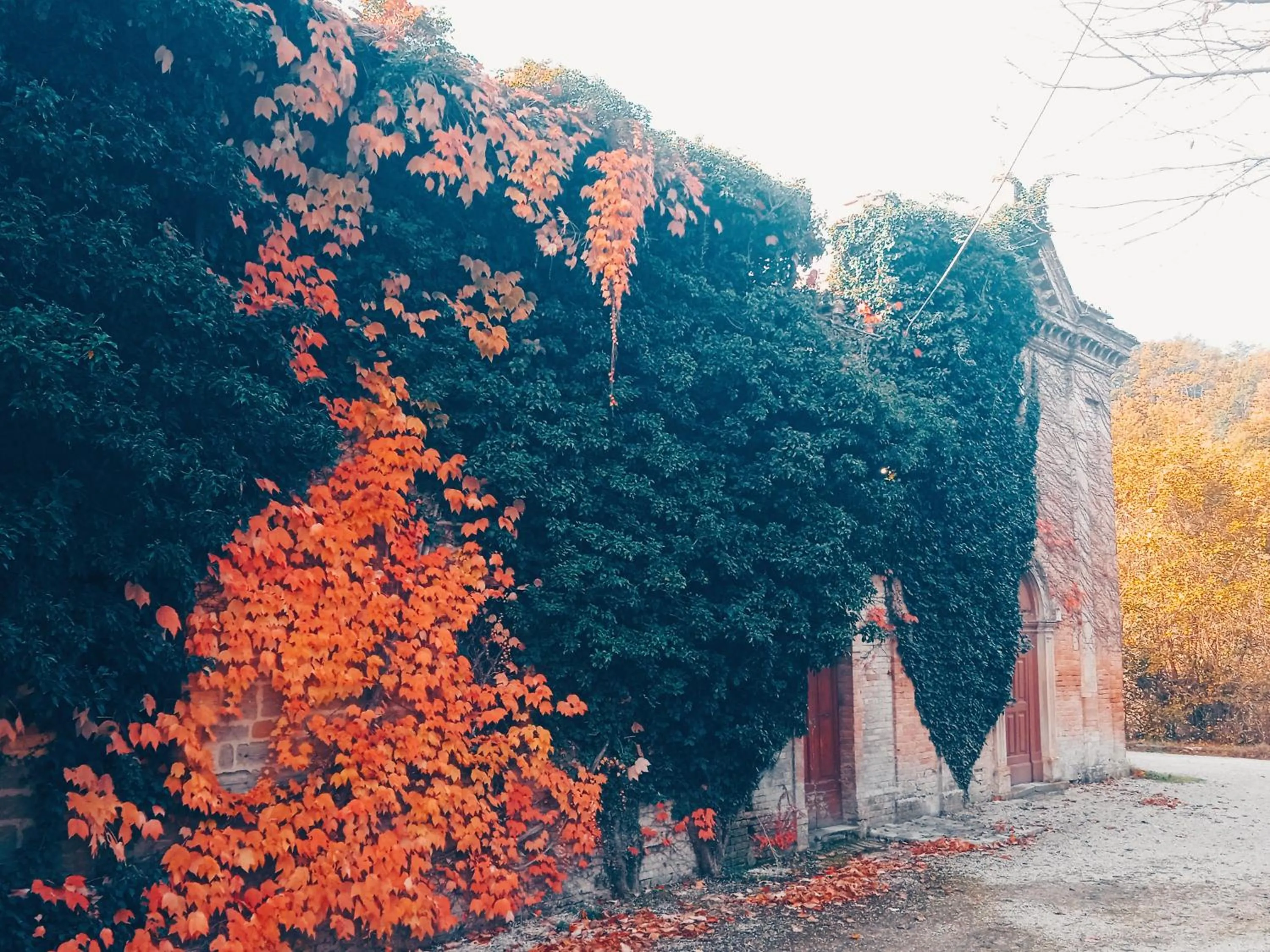 Other in Castello di Baccaresca