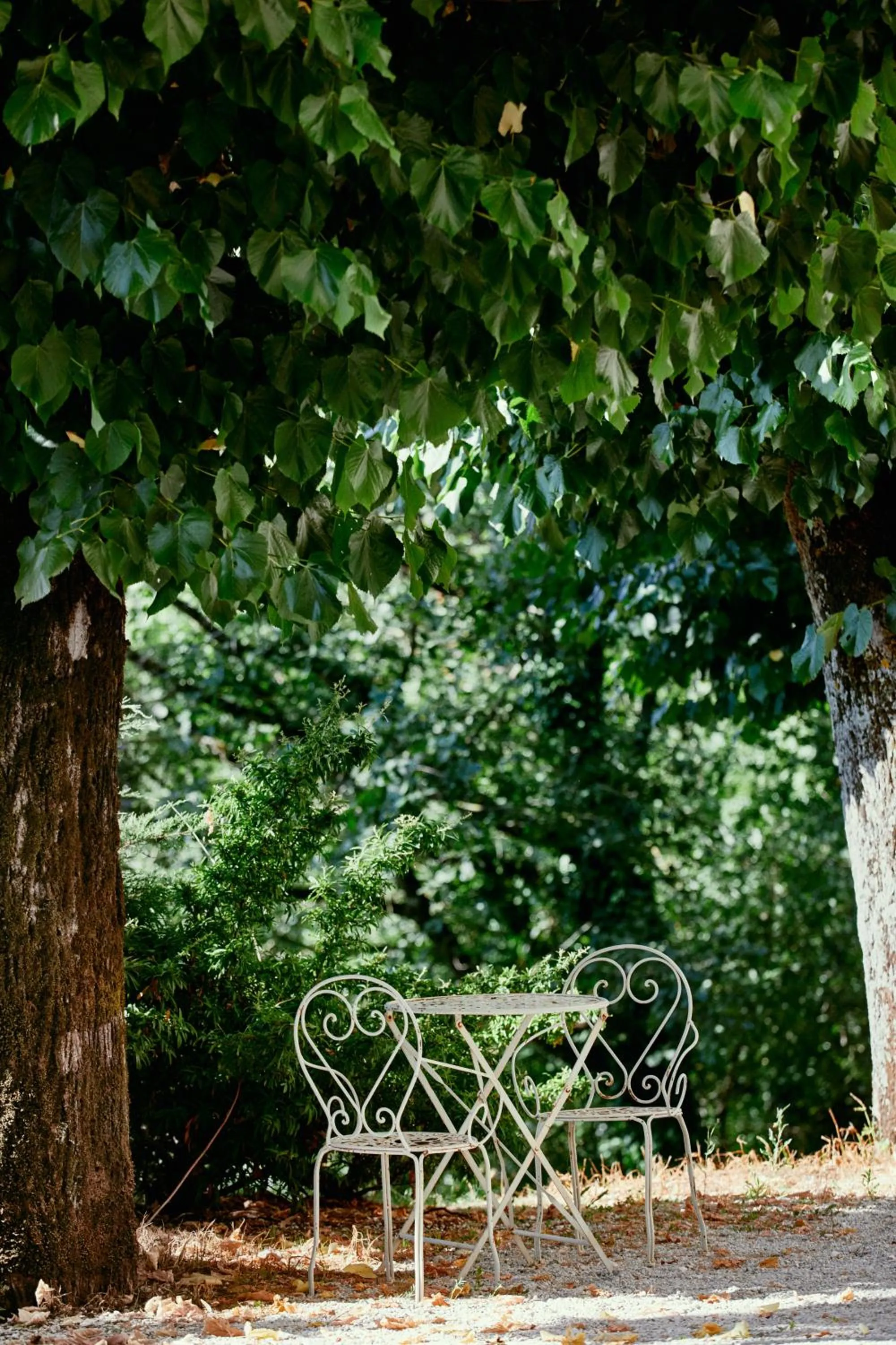 Garden in Castello di Baccaresca