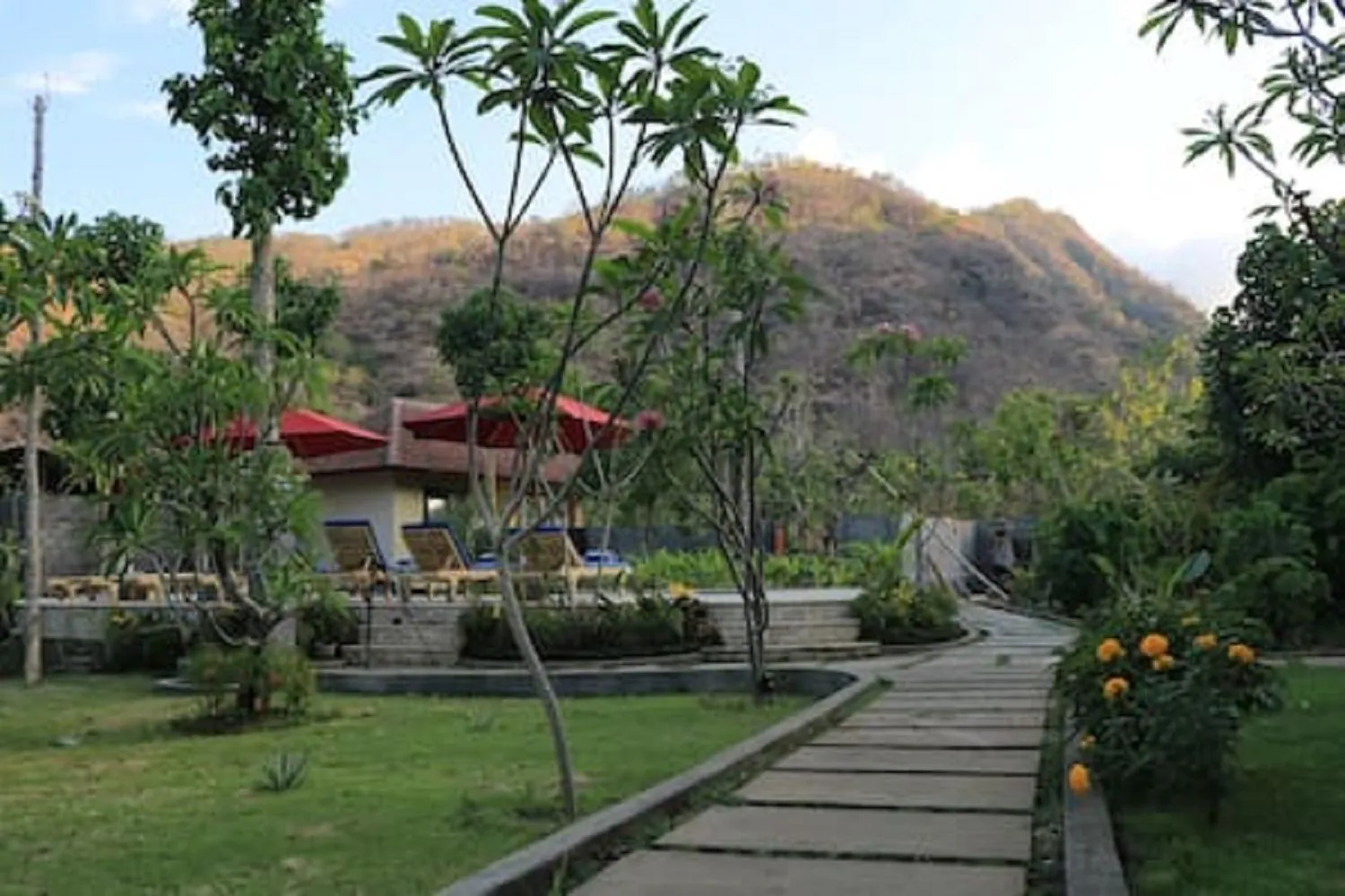 Natural landscape in Jaya Villa