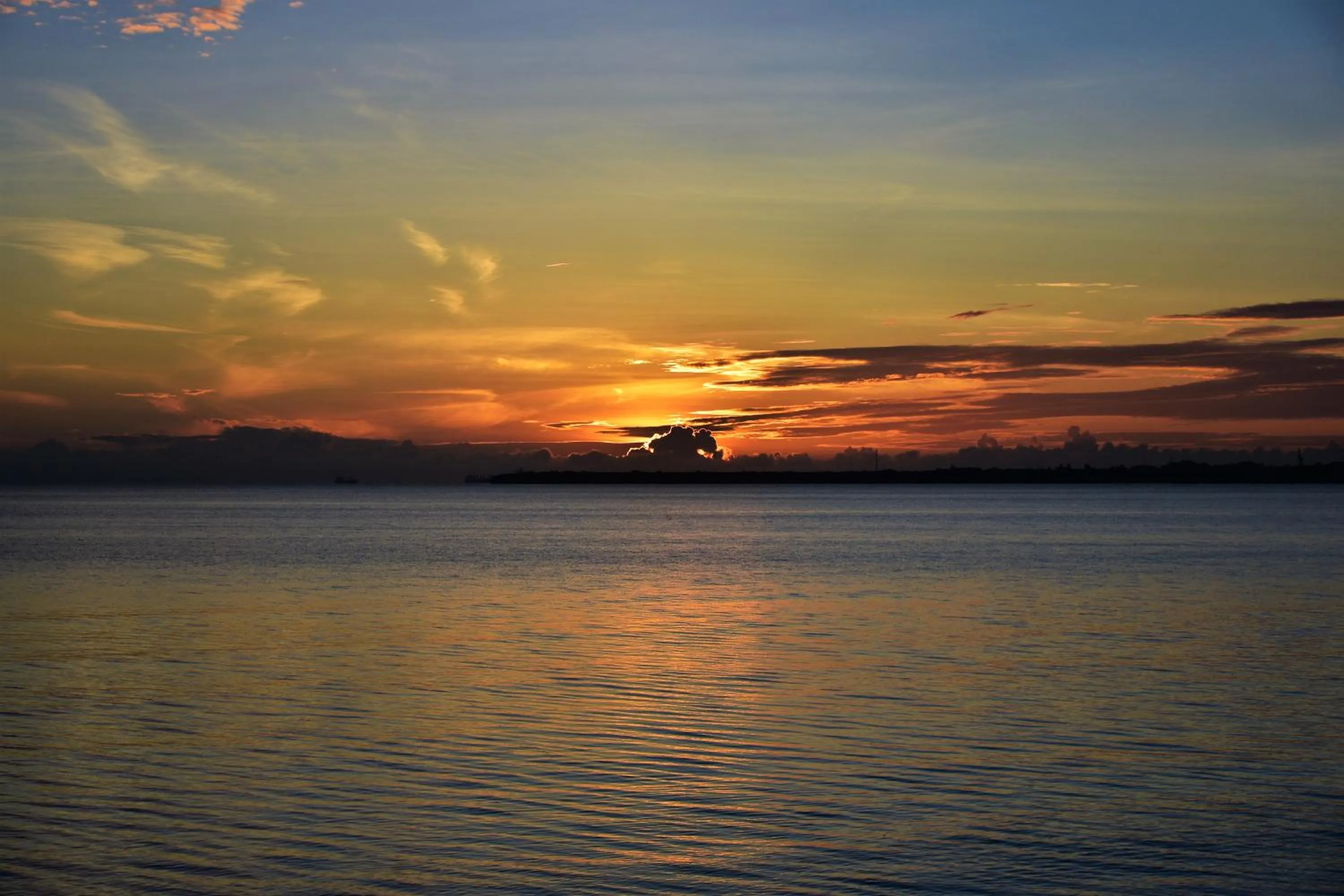 Natural landscape in Mediterraneo Boutique Hotel