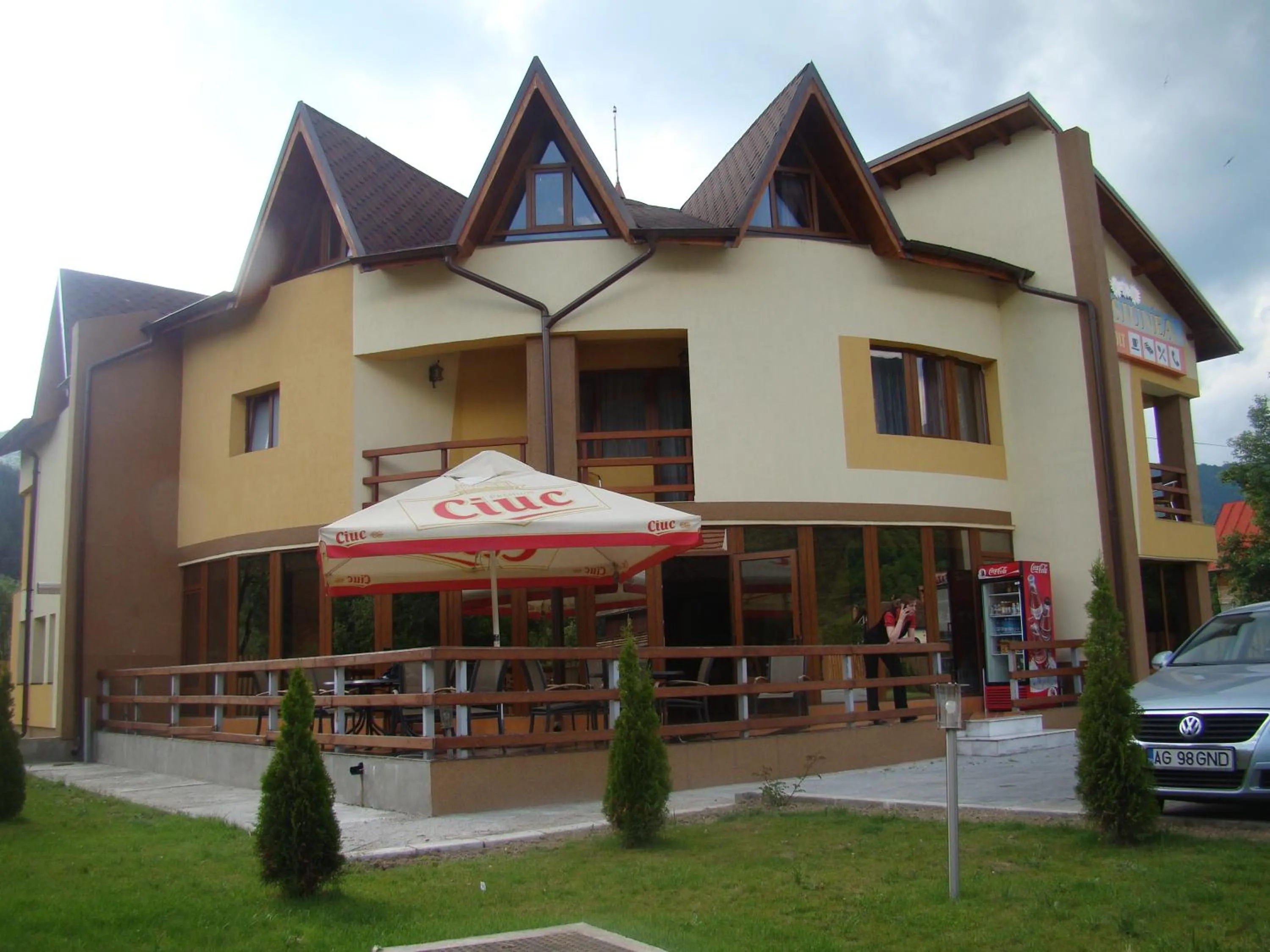 Restaurant/places to eat in Pensiunea Floare de Colţ