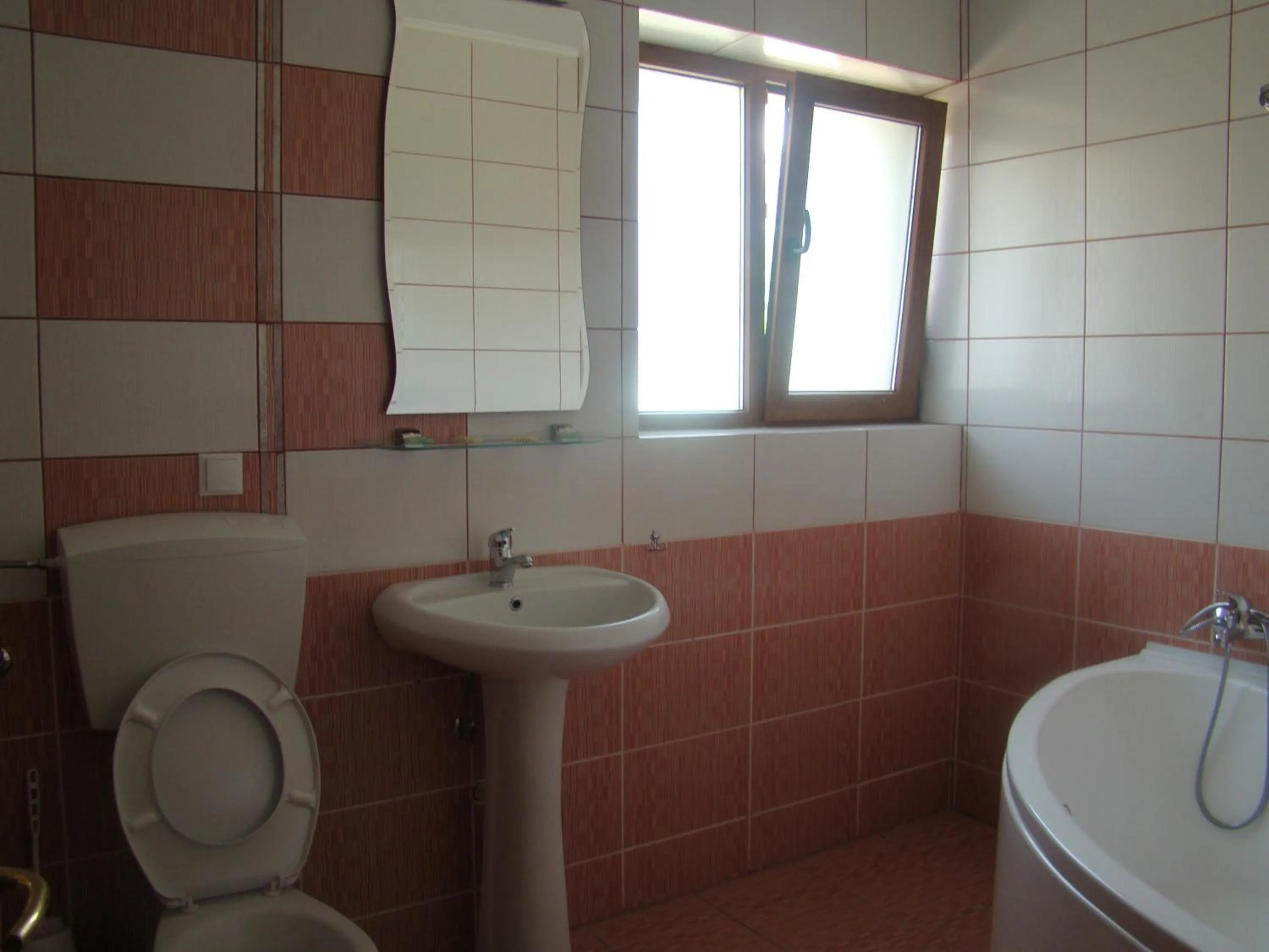 Shower in Pensiunea Floare de Colţ