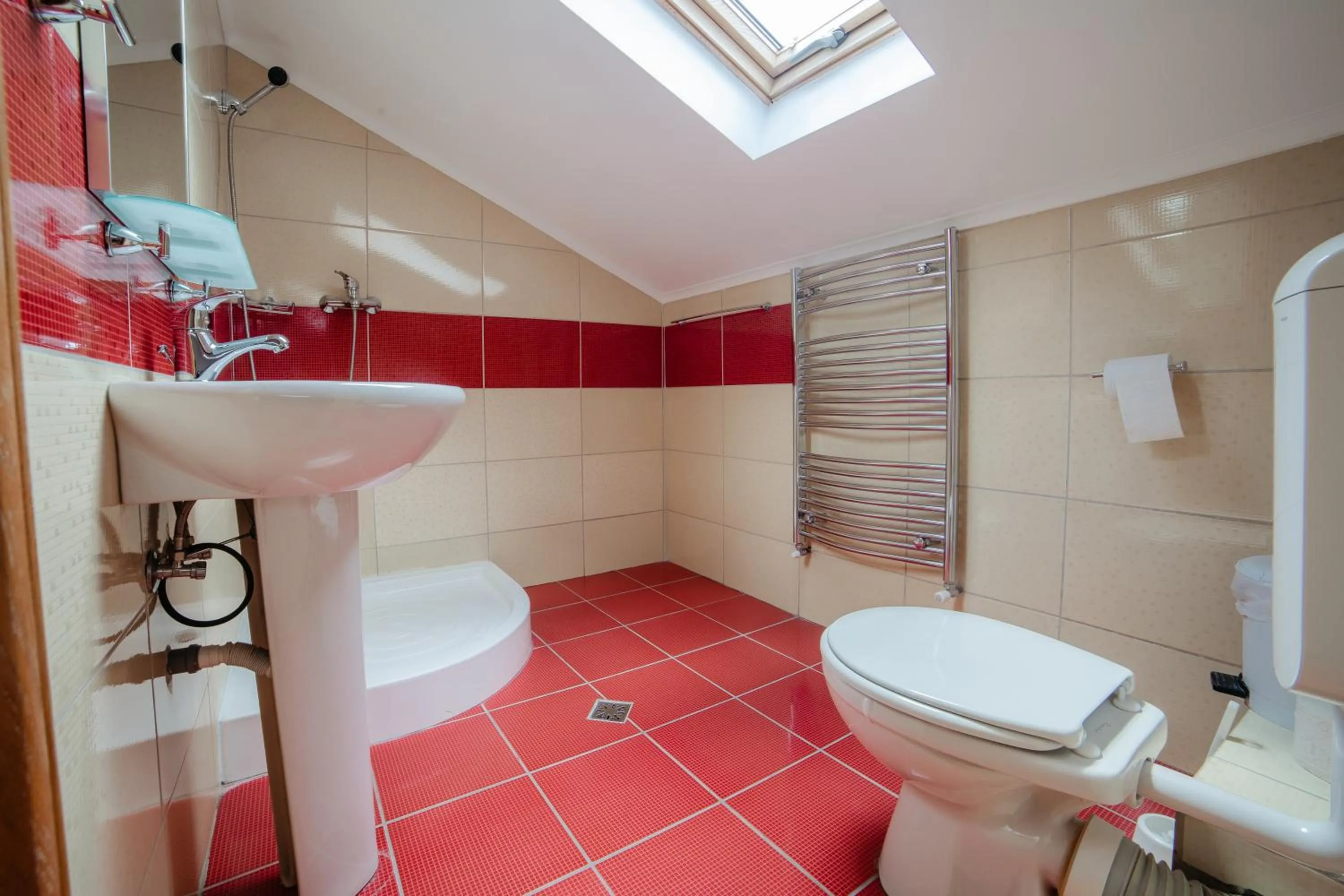 Bathroom in Pensiunea Floare de Colţ