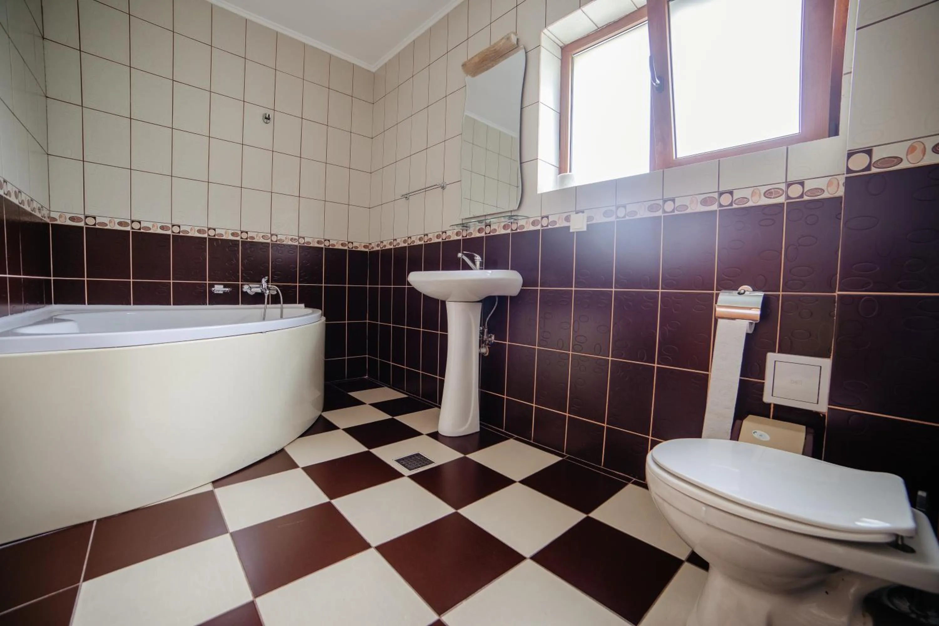 Bathroom in Pensiunea Floare de Colţ