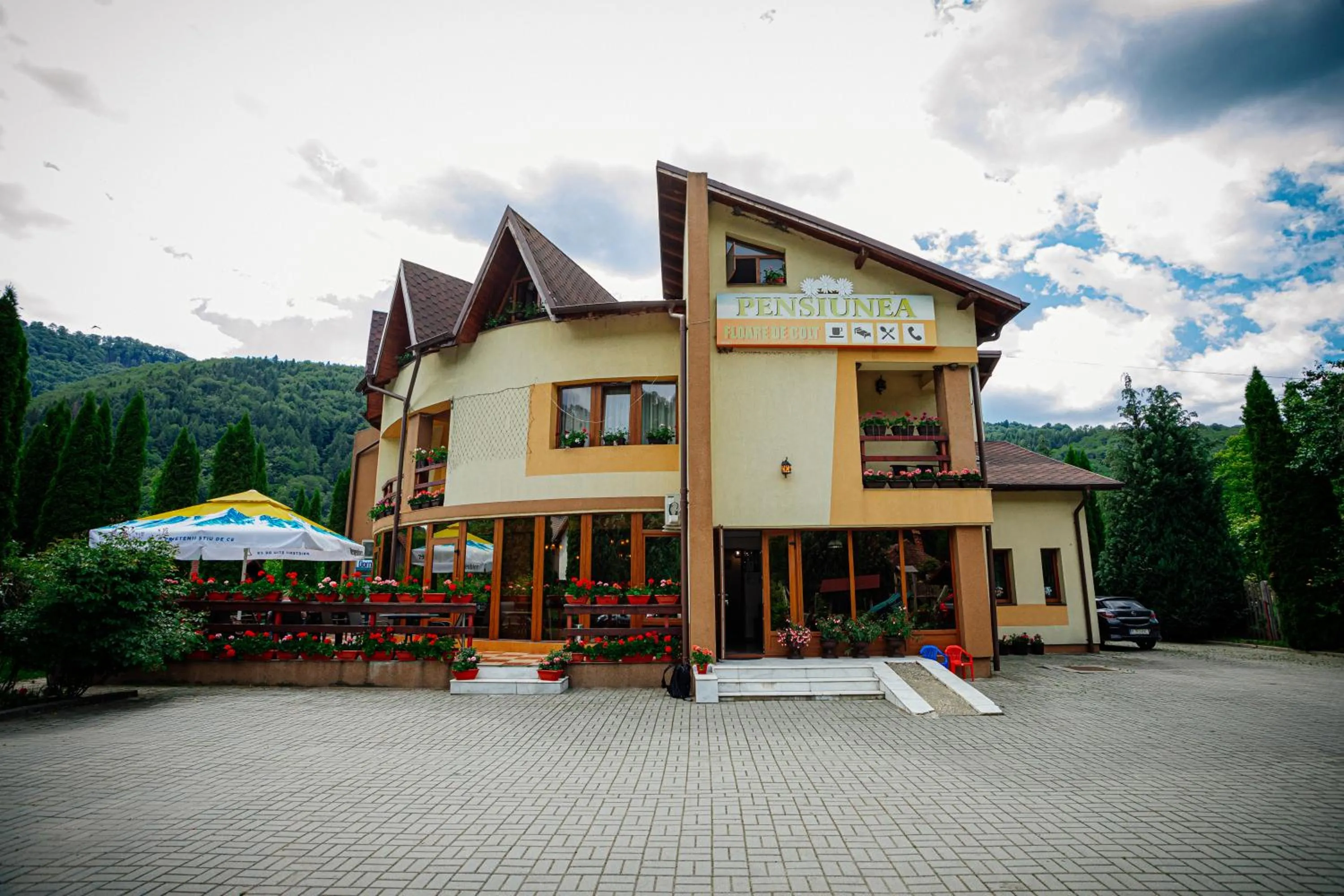 Property building in Pensiunea Floare de Colţ