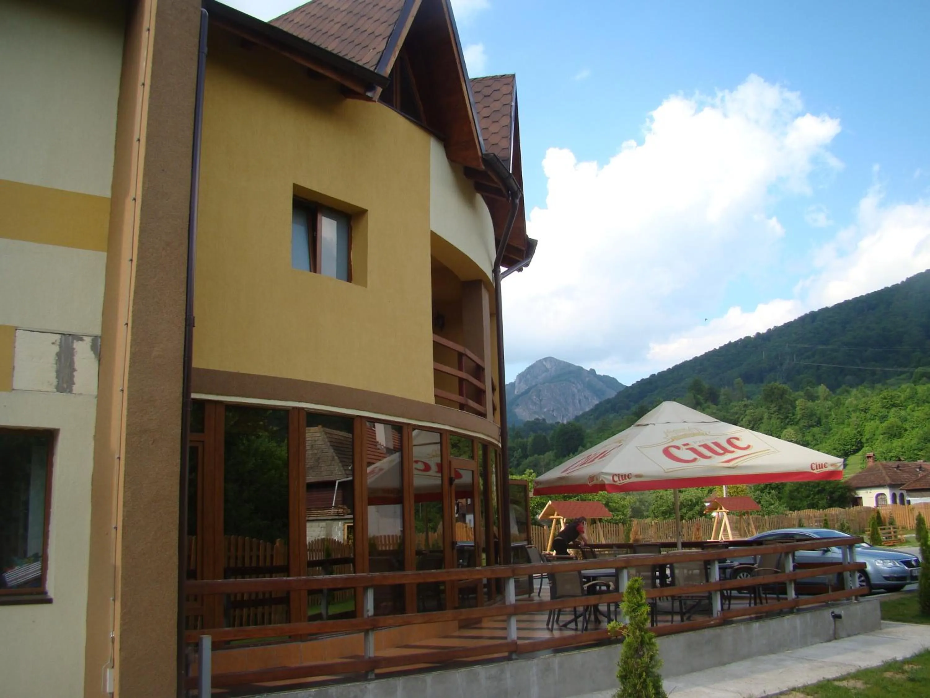 Balcony/Terrace in Pensiunea Floare de Colţ