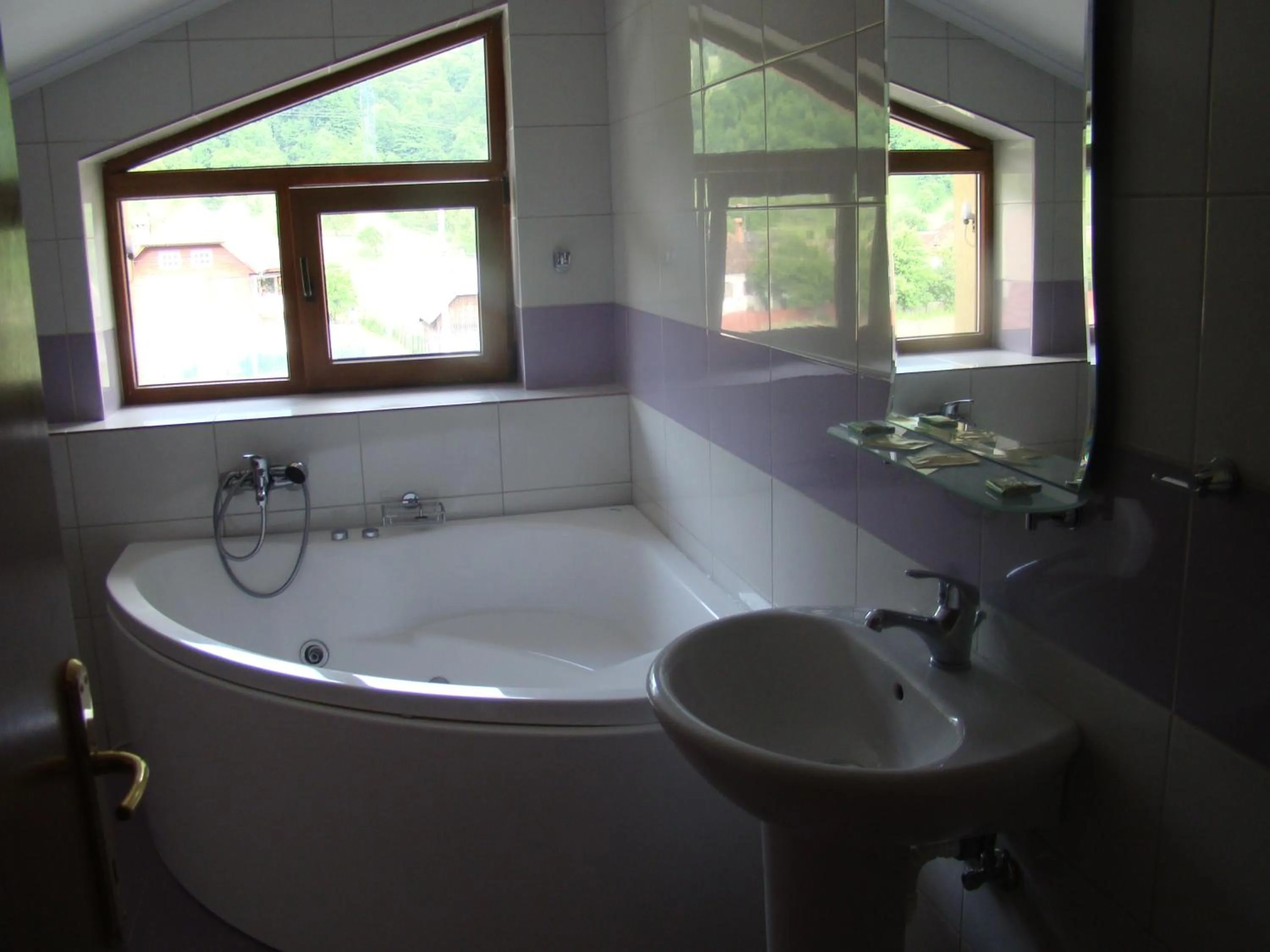 Shower in Pensiunea Floare de Colţ