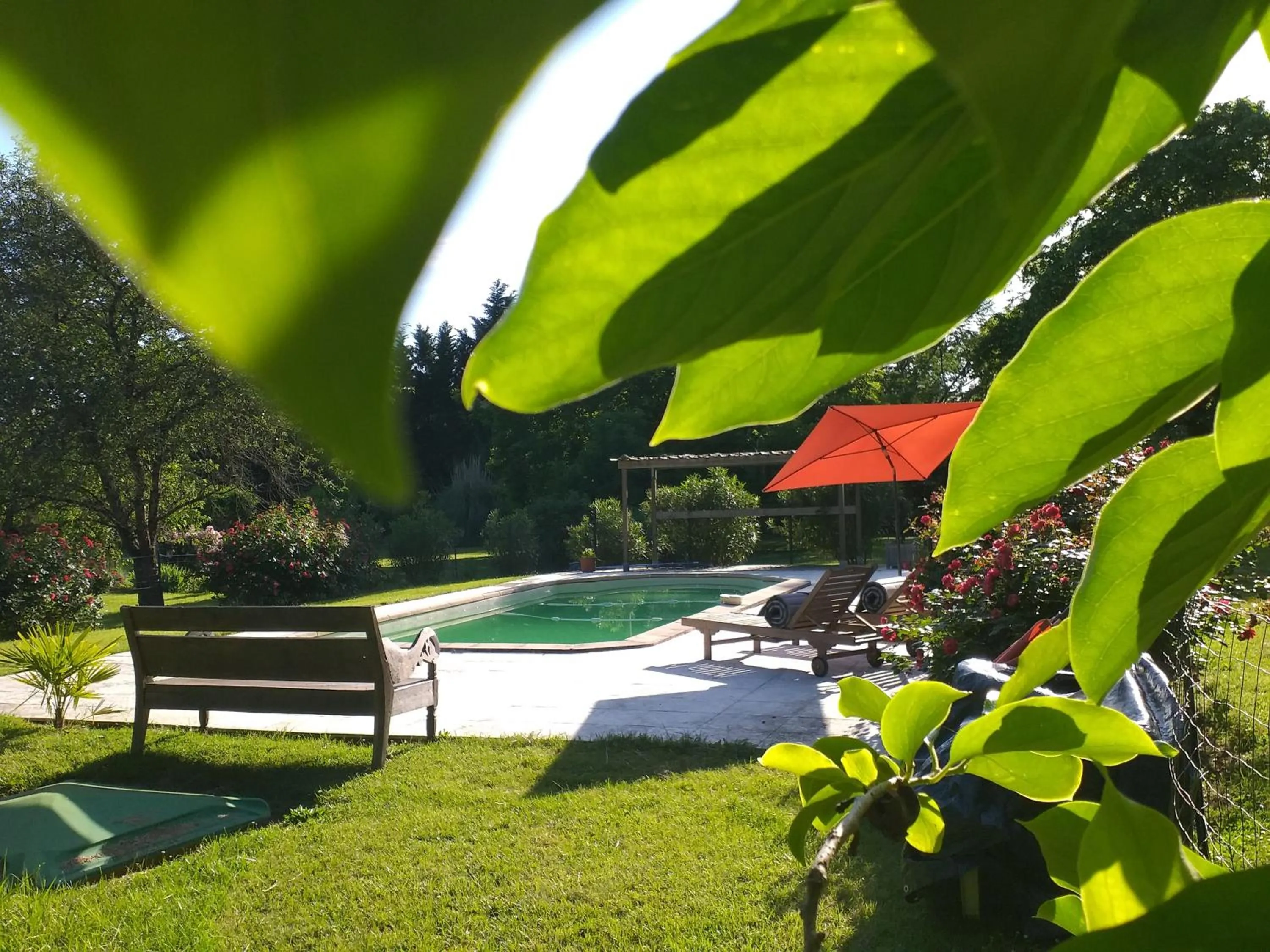 Swimming pool in Ecrin des Sens - Manoir en Agenais