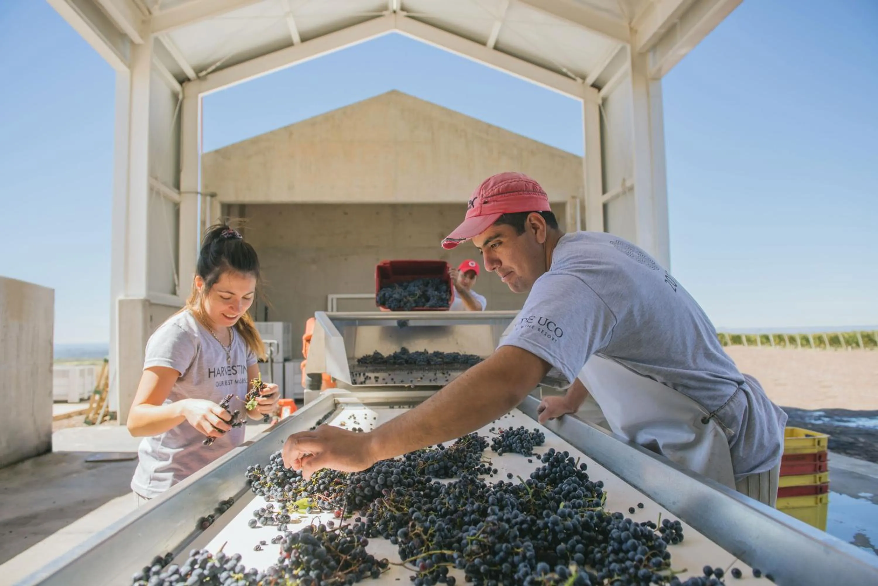 Area and facilities in Casa de Uco Vineyards and Wine Resort