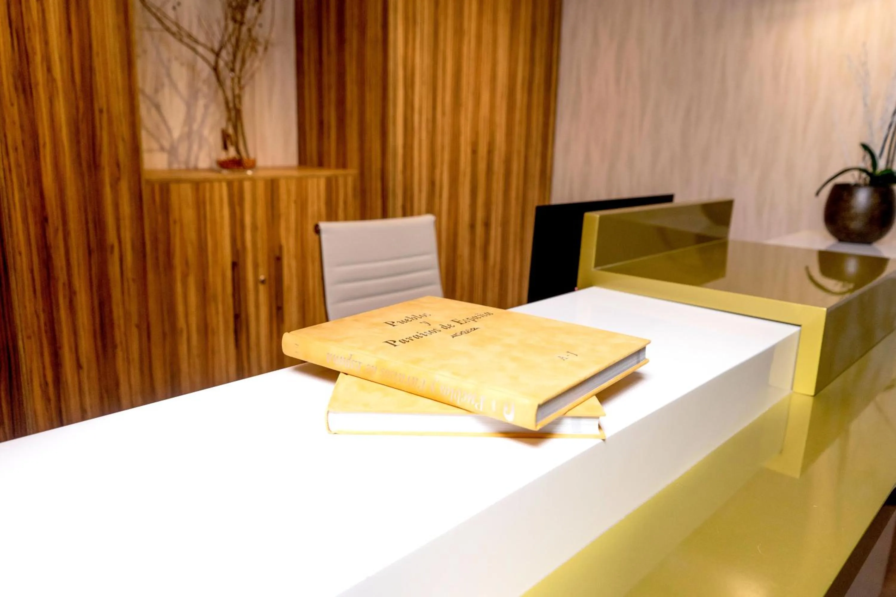 Lobby or reception in DAOS Suites & Terrace Marbella