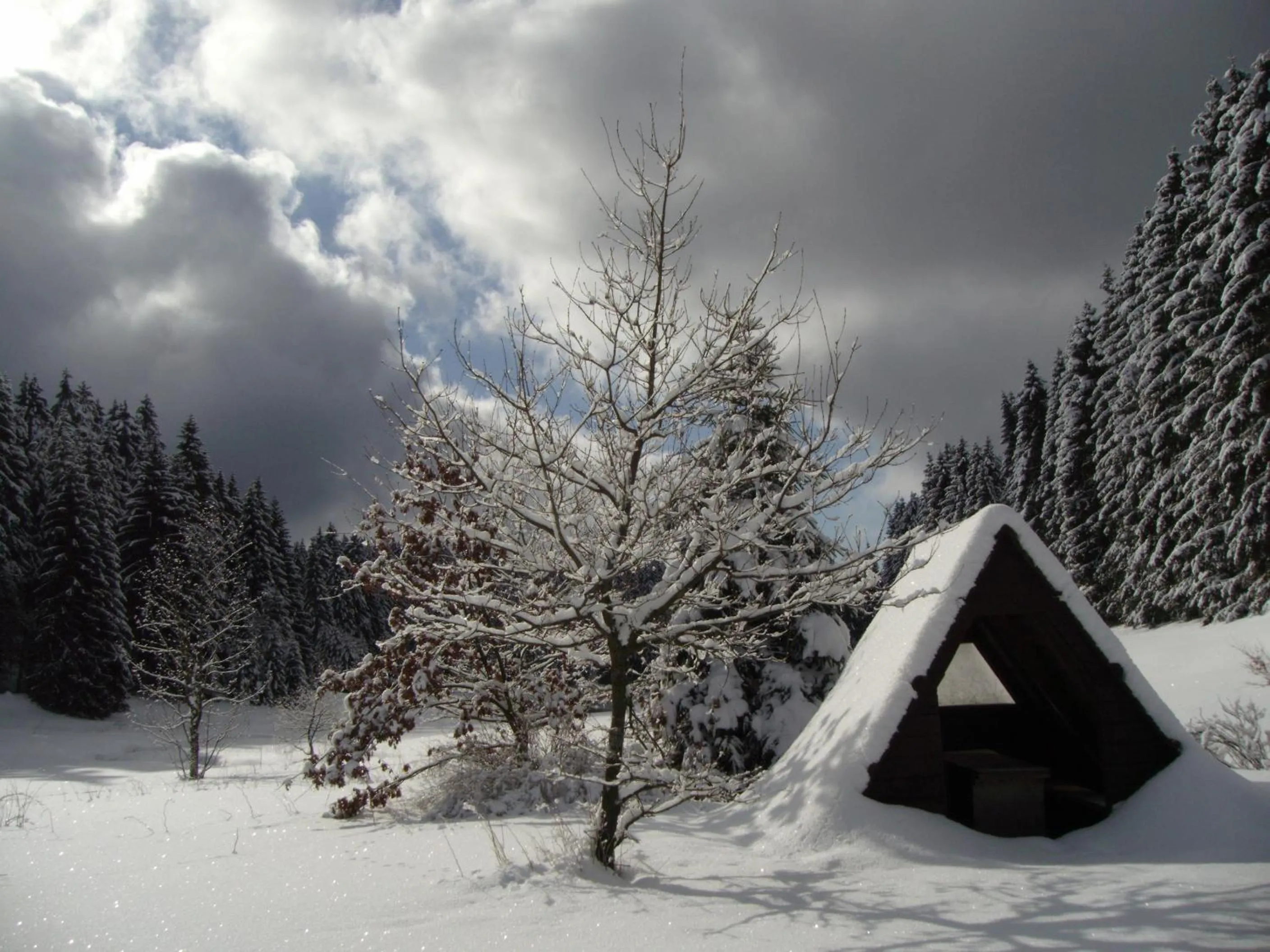 Garden view in Flambacher Mühle