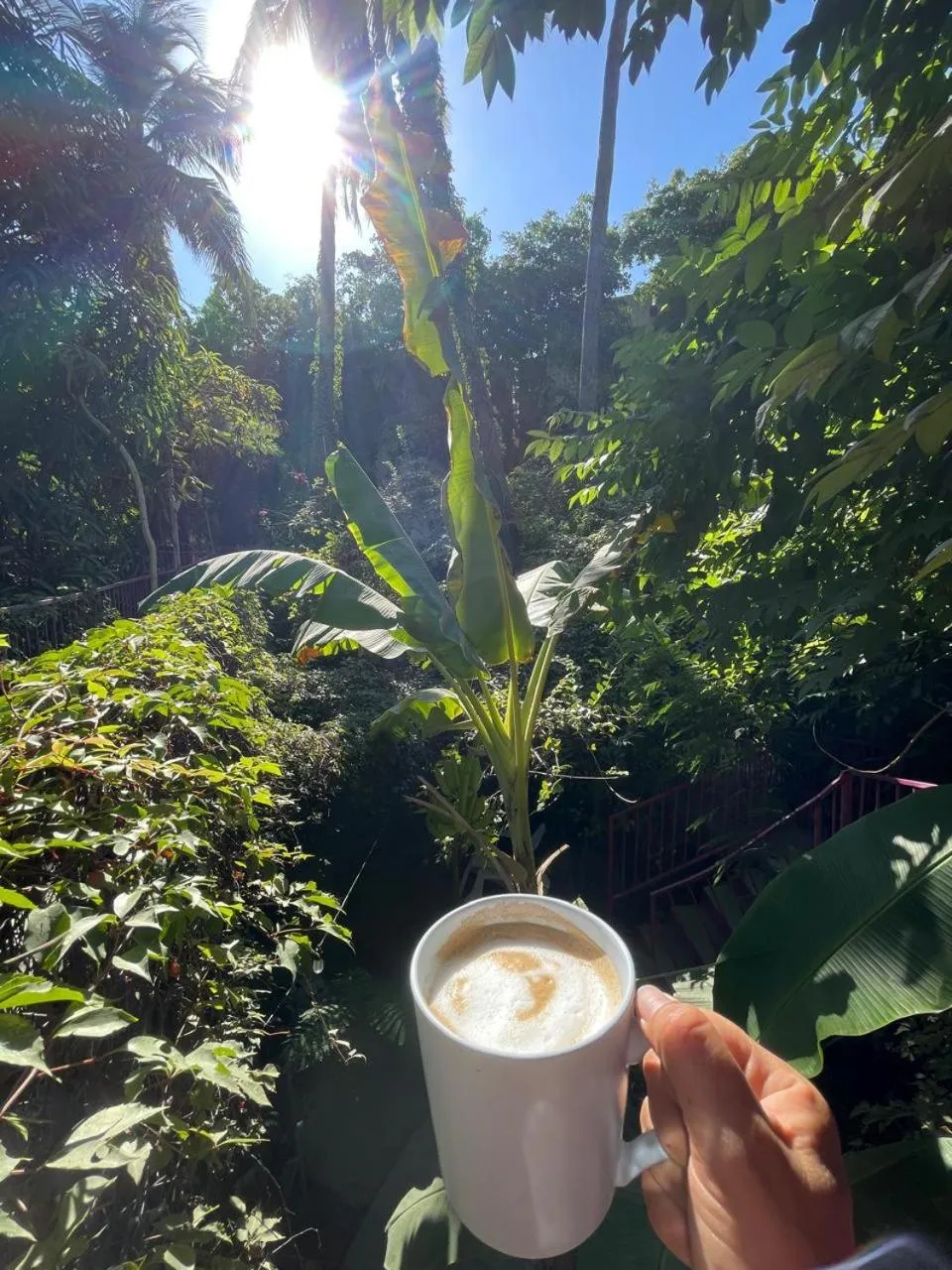 Restaurant/places to eat in Hotel Posada Señor Mañana