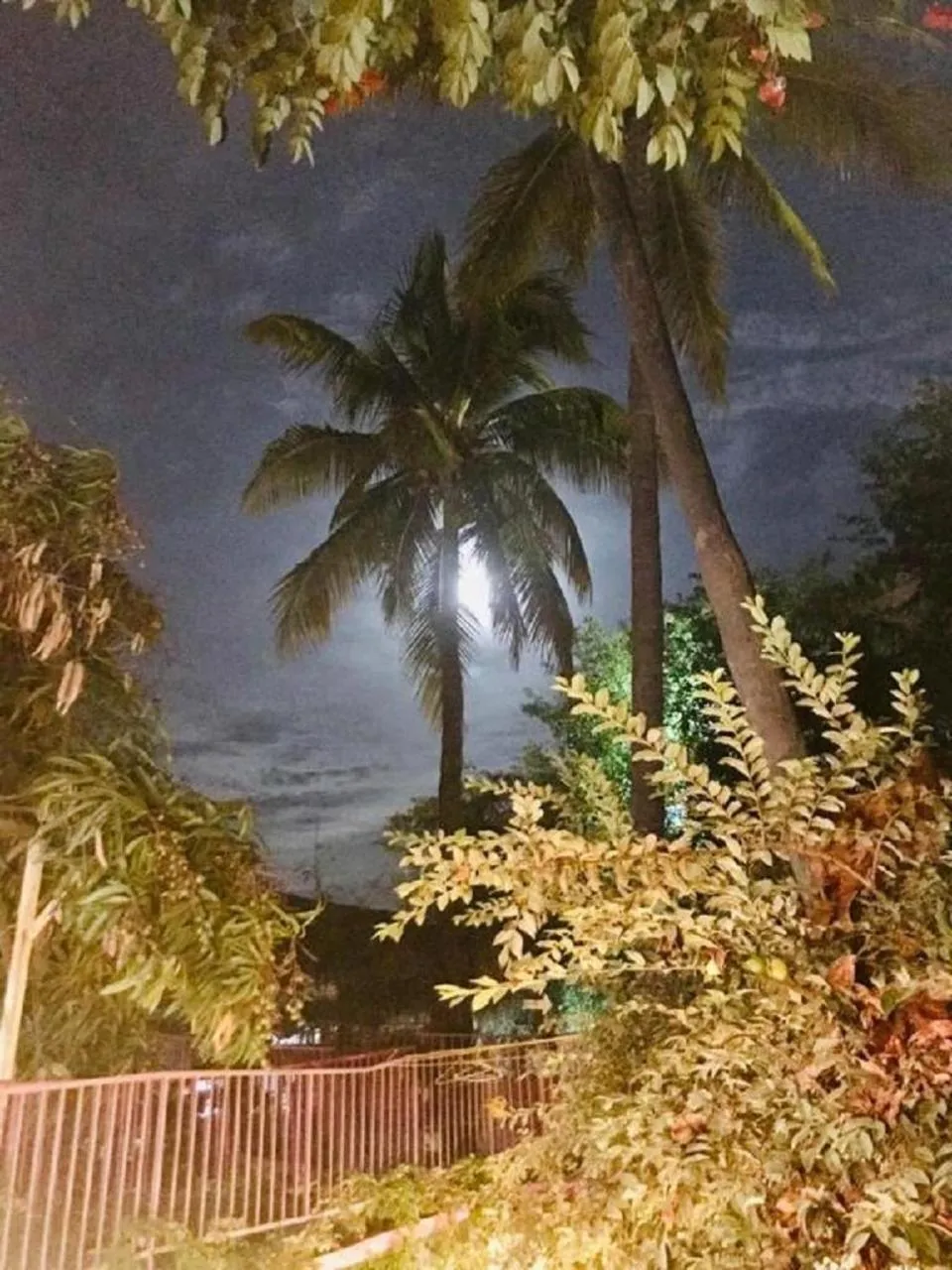 View (from property/room) in Hotel Posada Señor Mañana