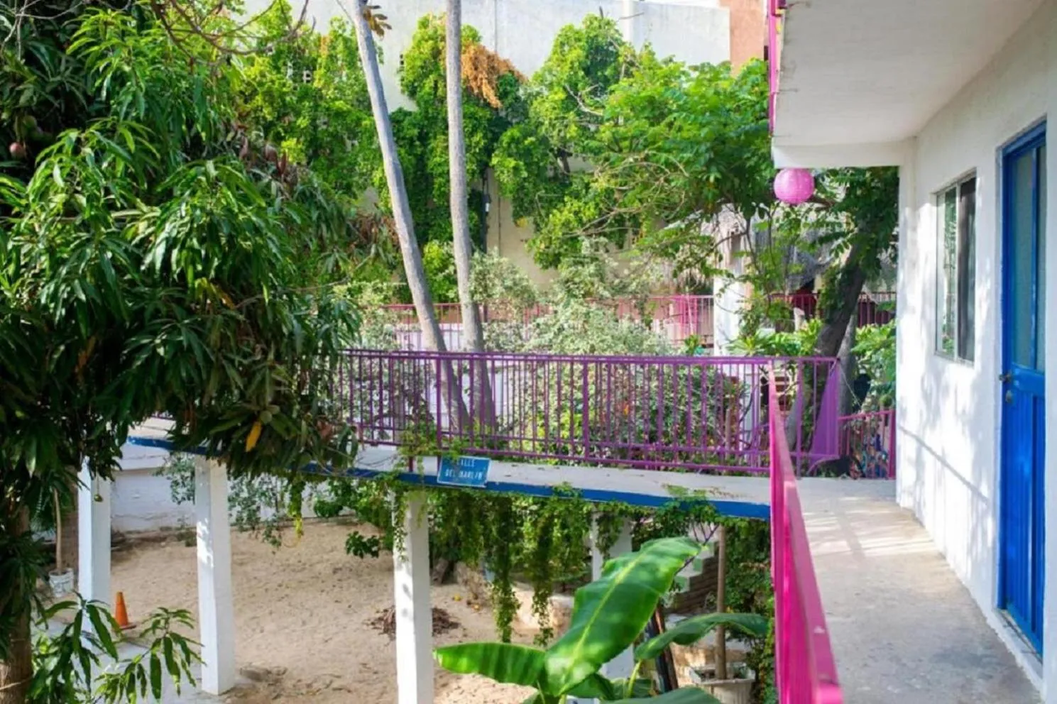 Garden in Hotel Posada Señor Mañana