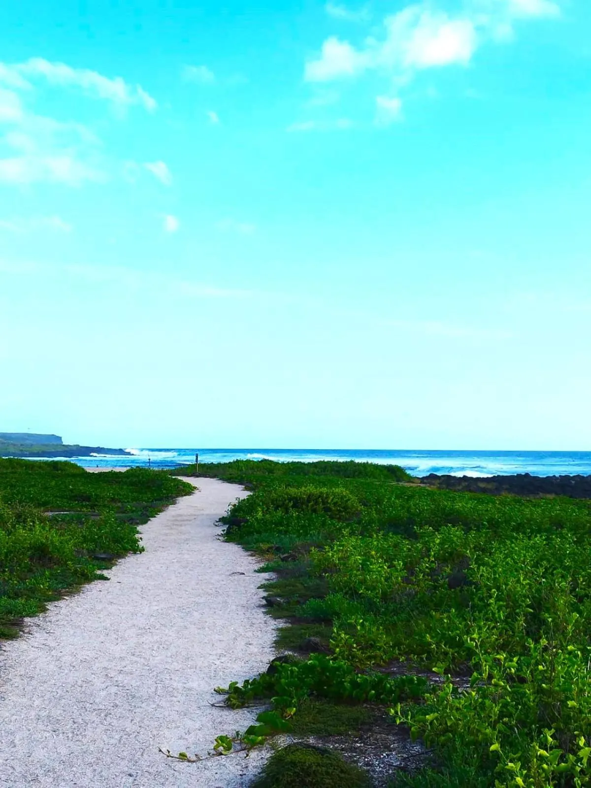 Other in Hotel Los Algarrobos