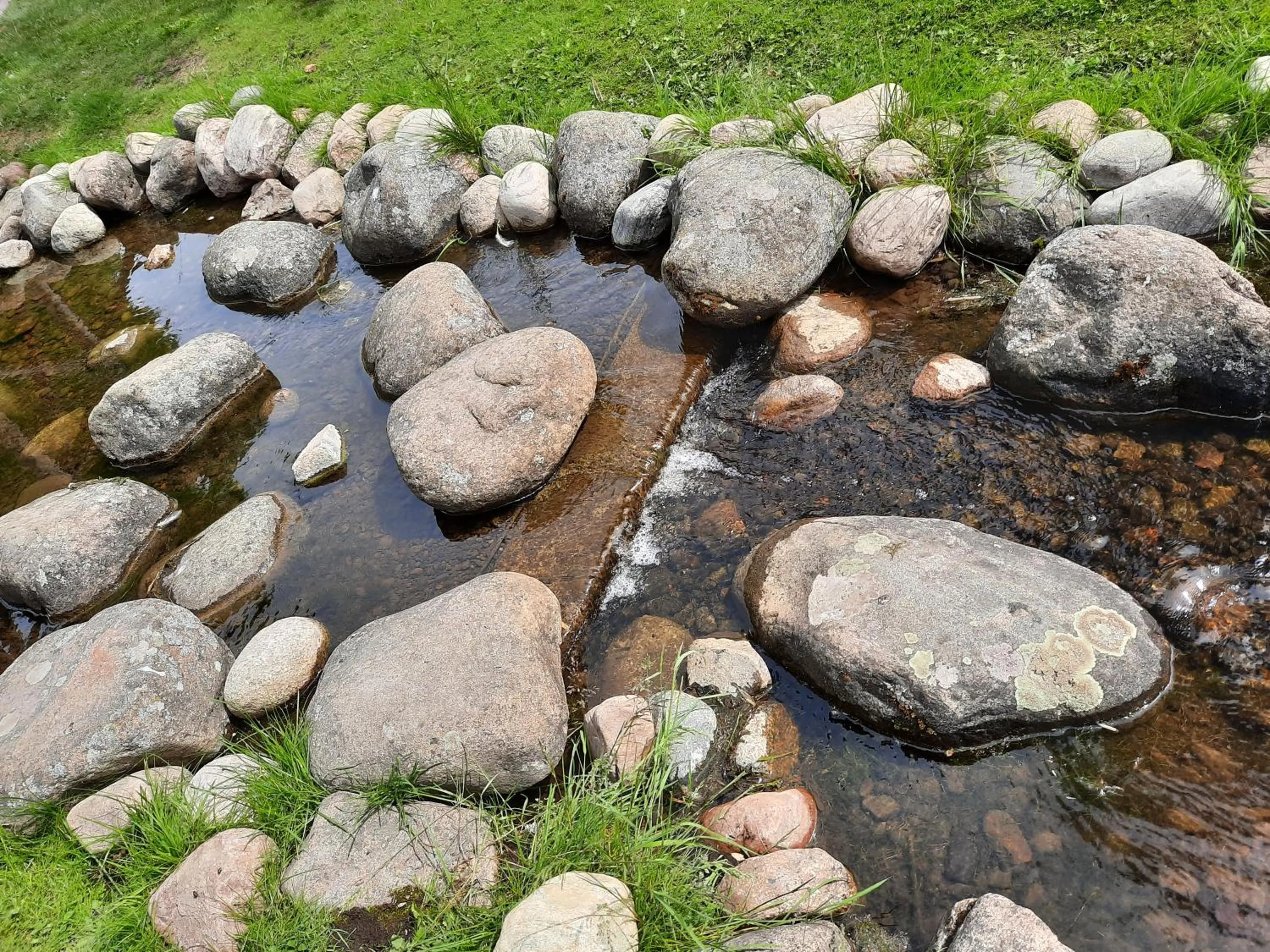 Natural landscape in Broholm Bed&Breakfast