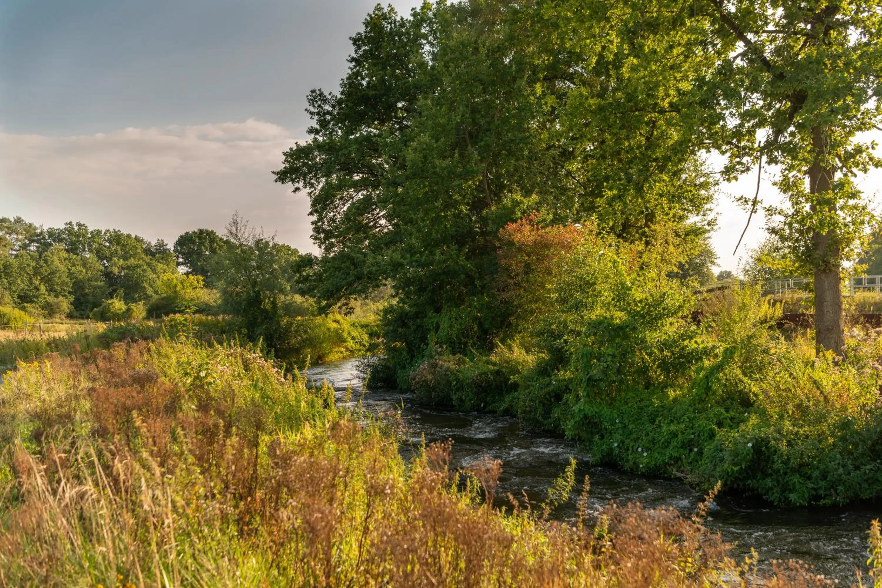 Natural landscape in Biohotel WildLand Natural Resort